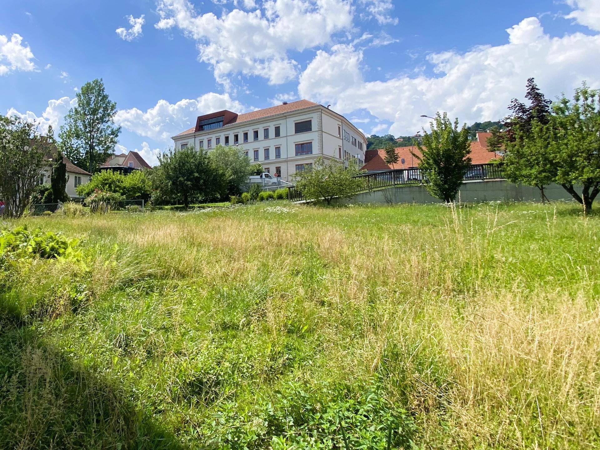 Offene Grünfläche mit einem großen Gebäude im Hintergrund und klarem Himmel.