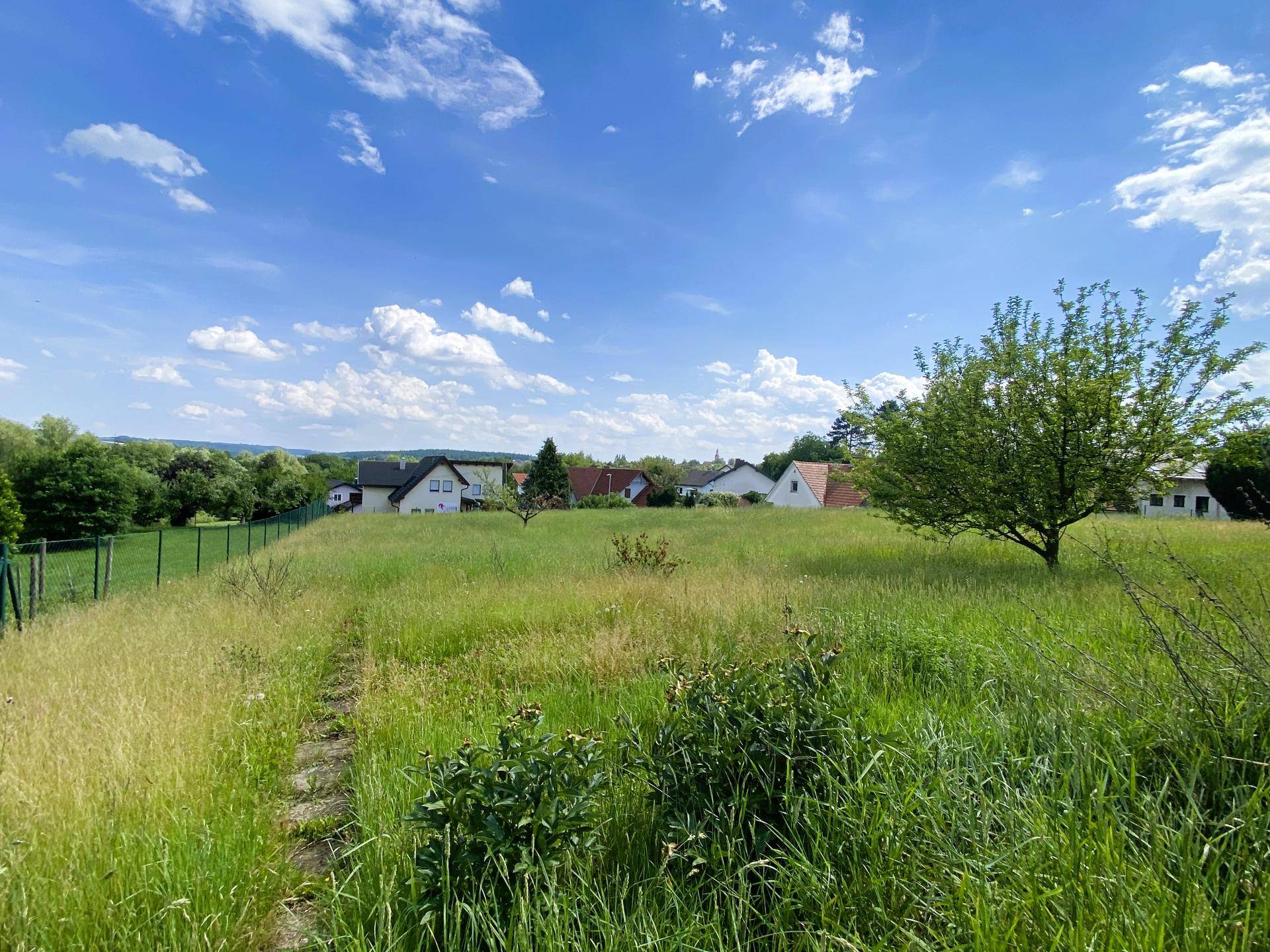 Weitläufige grüne Wiese mit einem Pfad und Häusern am Horizont unter blauem Himmel.
