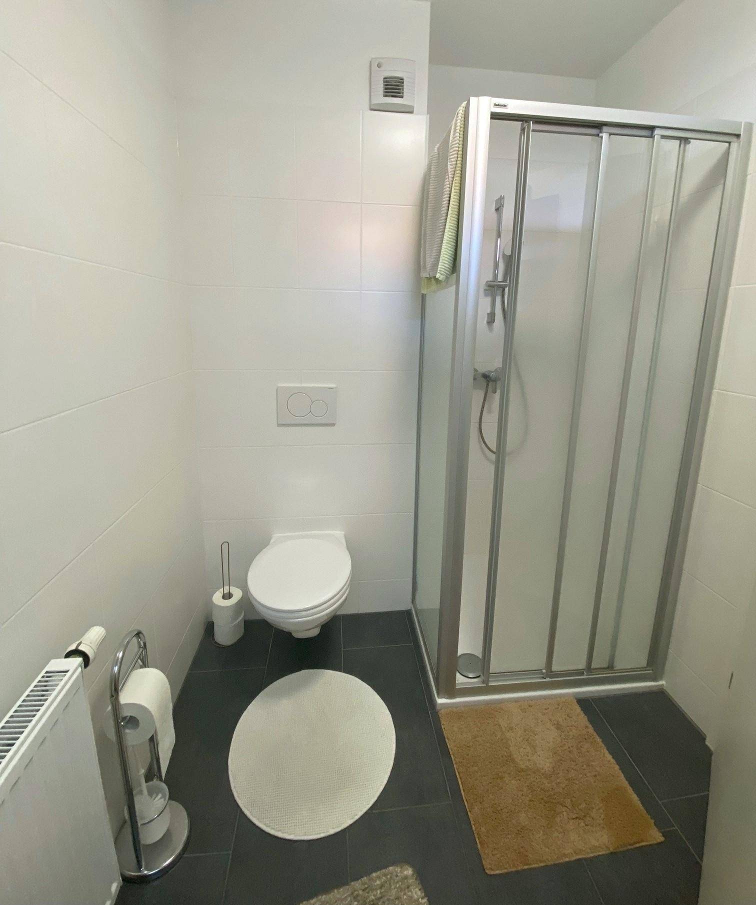 Modernes Badezimmer mit Duschkabine, Wand-WC und dunklen Bodenfliesen.