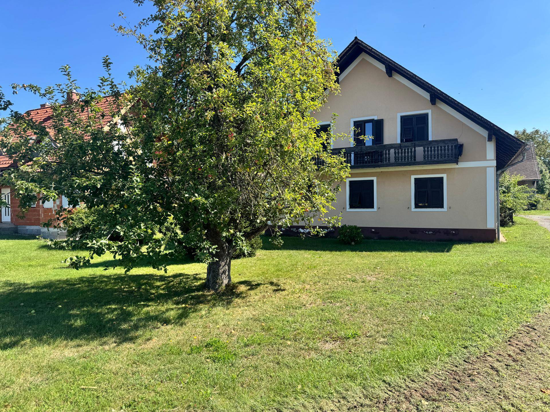 Rückansicht des Hauses mit Balkon, grüner Wiese und altem Baum unter strahlend blauem Himmel.