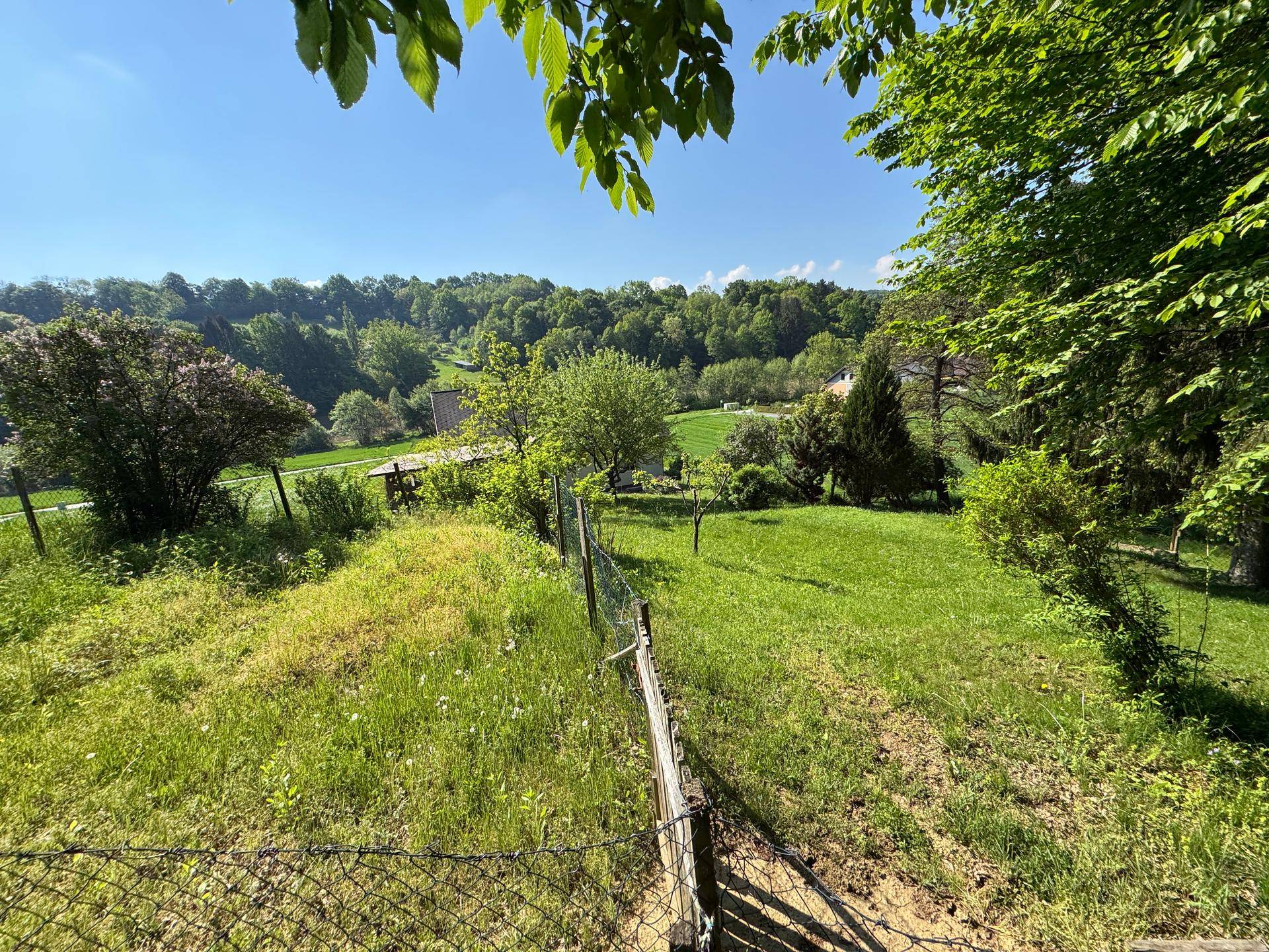 Grüner Gartenbereich mit Blick auf die umliegende Natur und bewaldete Hügel.