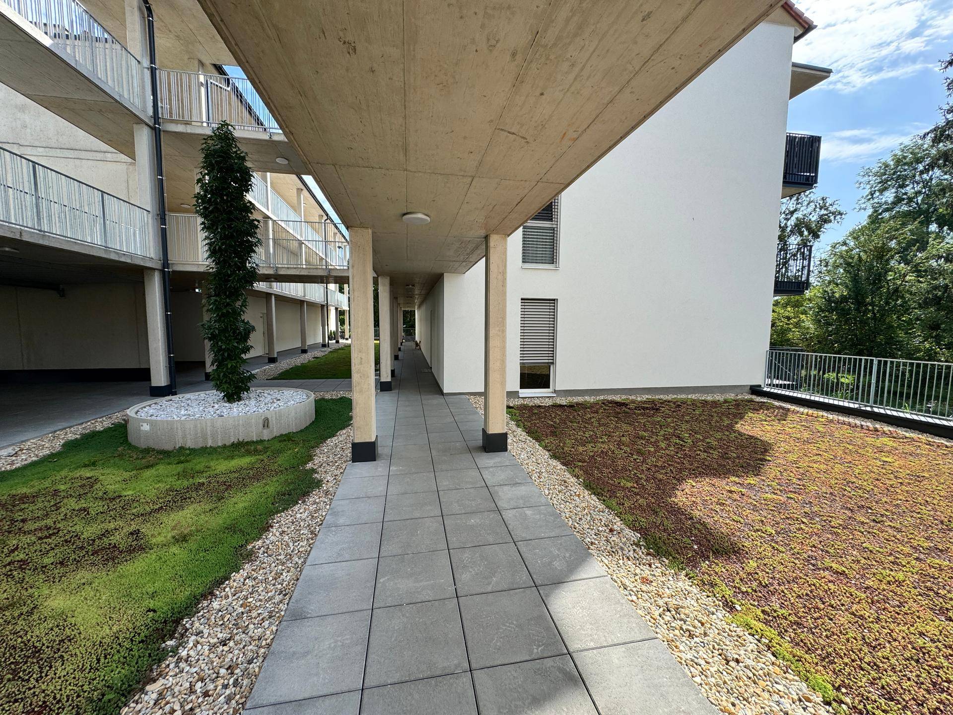 Gepflegter Weg im Innenhof mit einem Baum in einem Pflanzgefäß und begrünten Flächen.