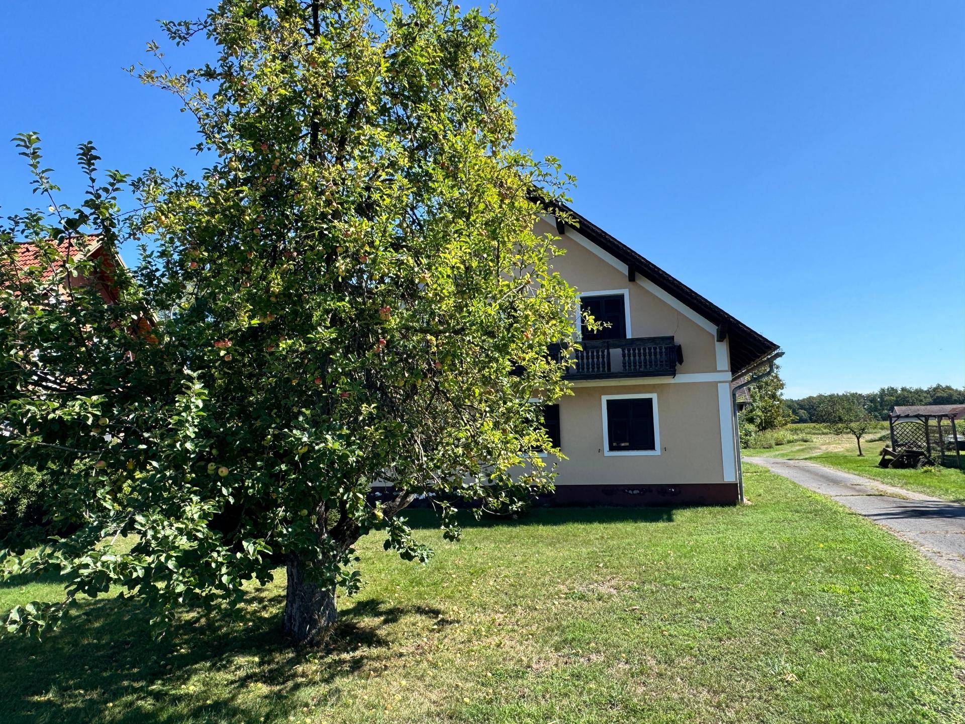 Rückansicht des Hauses mit Balkon, grüner Wiese und altem Baum unter strahlend blauem Himmel.