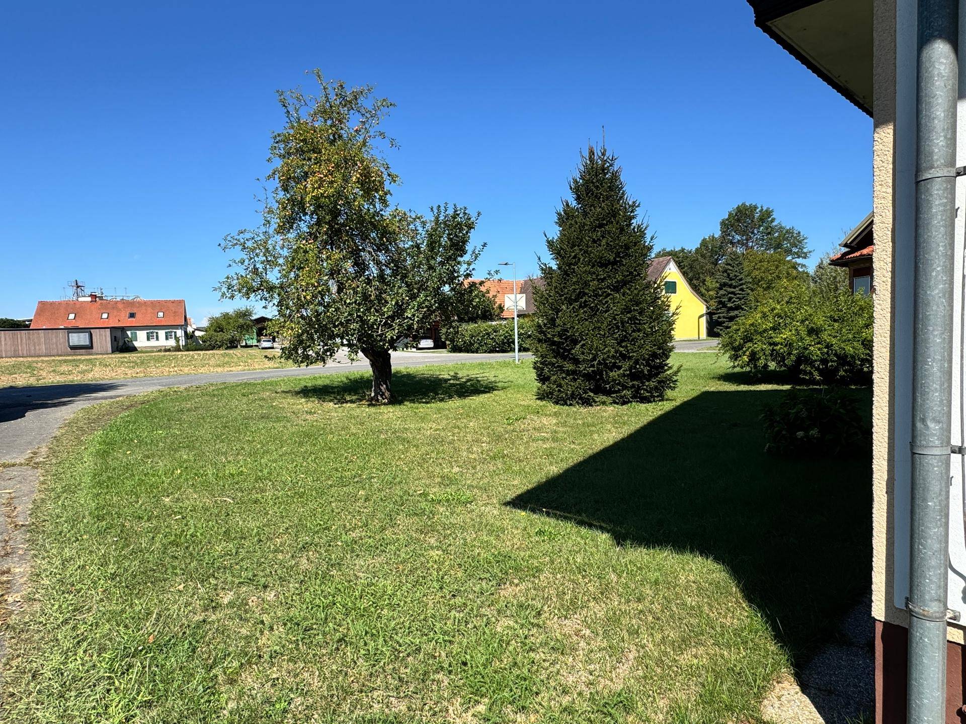 Gepflegter Vorgarten mit Rasenfläche und Bäumen, Blick auf die ländliche Umgebung.