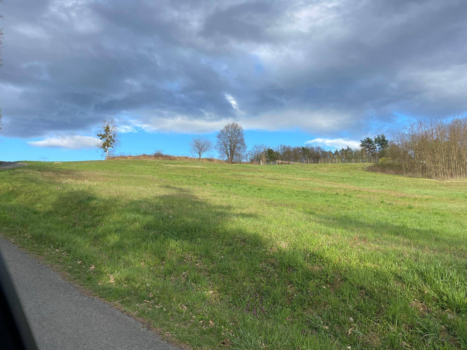 Grüne Wiesenfläche neben einer asphaltierten Straße mit Bäumen am Horizont unter Wolken.