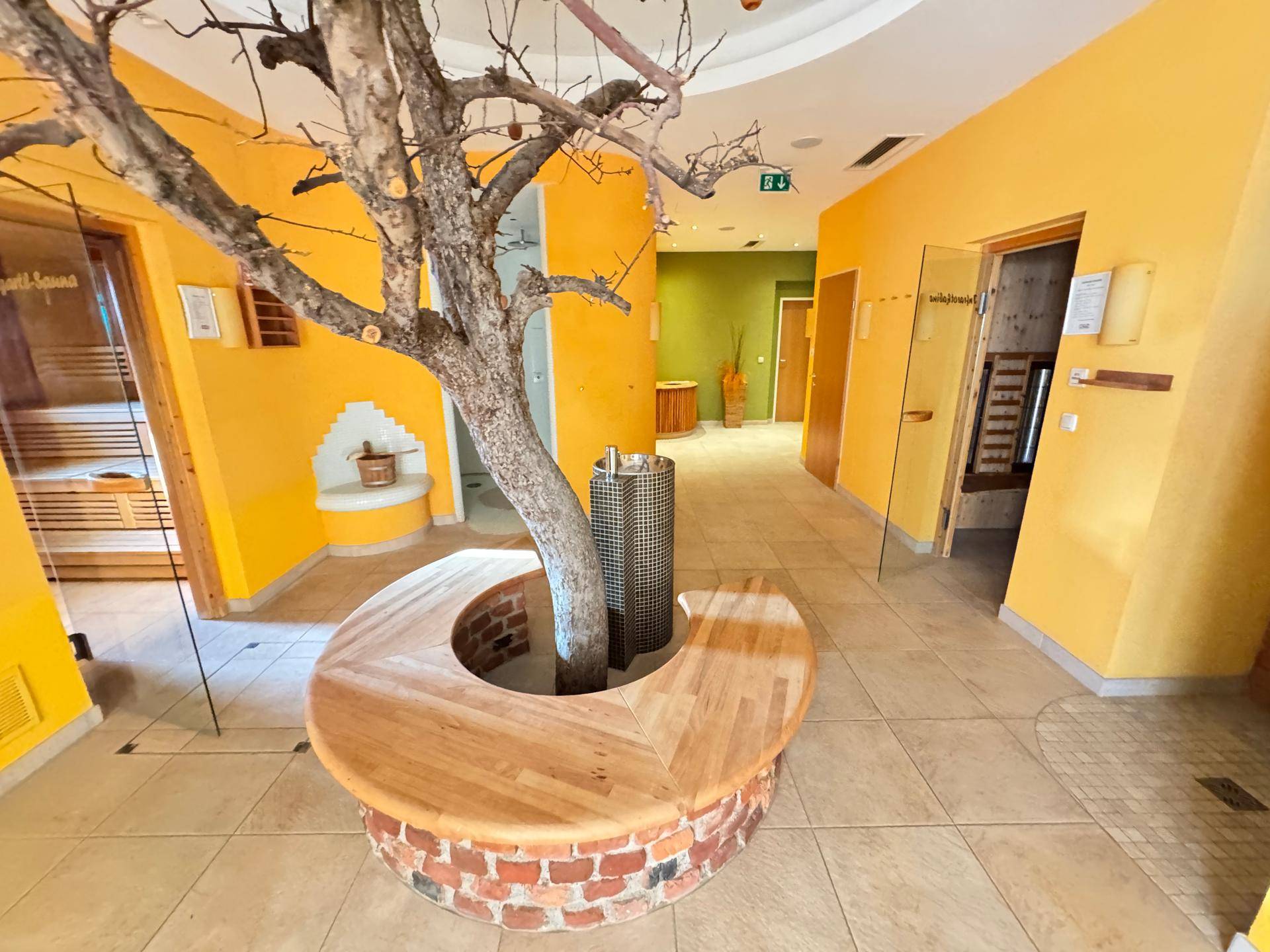 Wellnessbereich mit dekorativem Baum, Sitzgelegenheit und Fliesenboden.