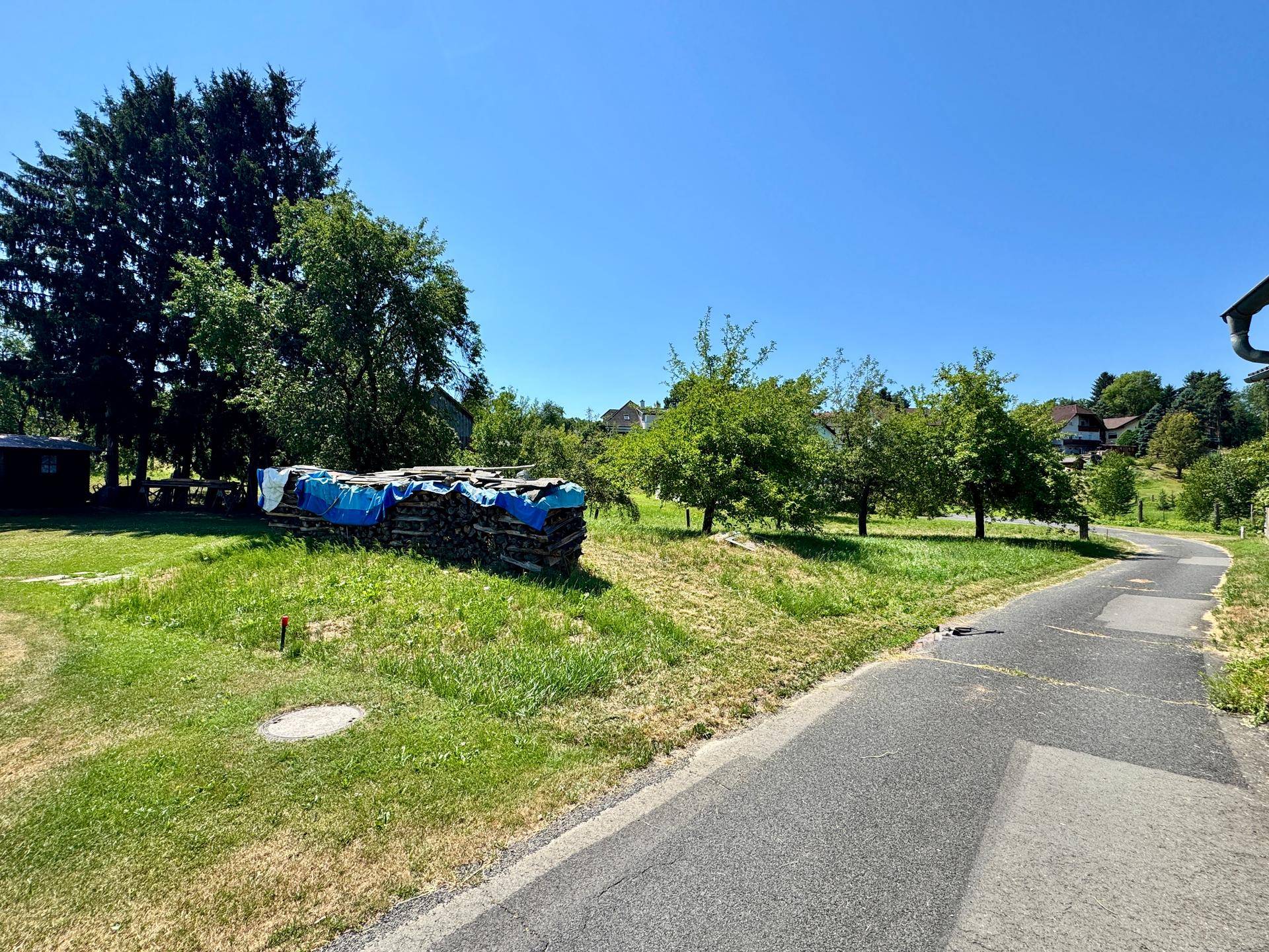 Weitläufiges Grundstück mit grüner Wiese, Bäumen und einem Holzstapel unter blauem Himmel.