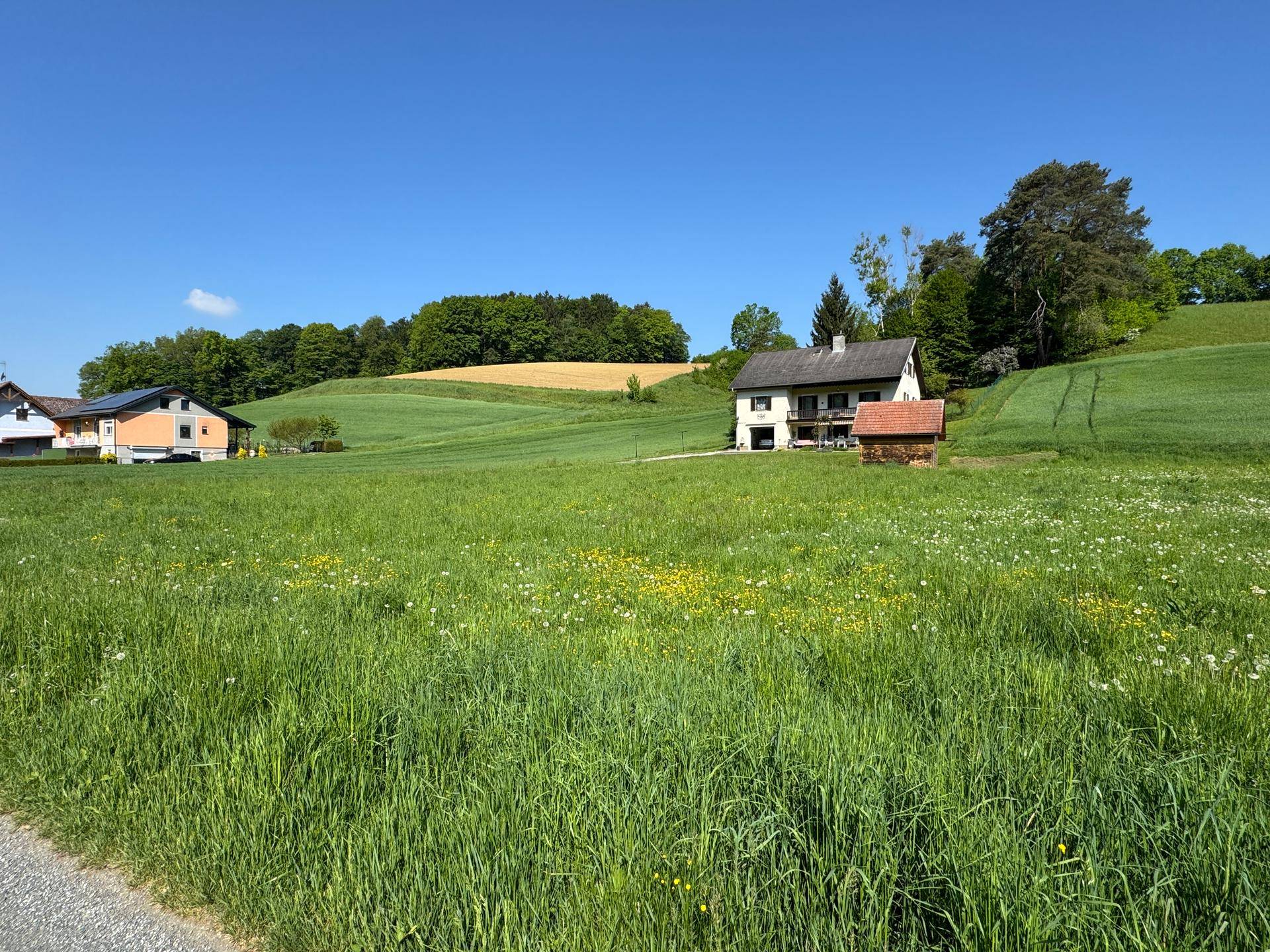 Weitläufige Landschaft mit einem Einfamilienhaus inmitten grüner Felder und Bäume unter klarem Himmel.