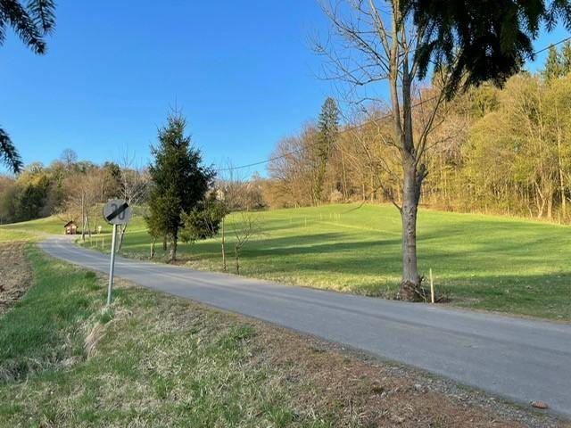 Landstraße schlängelt sich durch eine idyllische grüne Landschaft mit Bäumen und weiten Feldern.