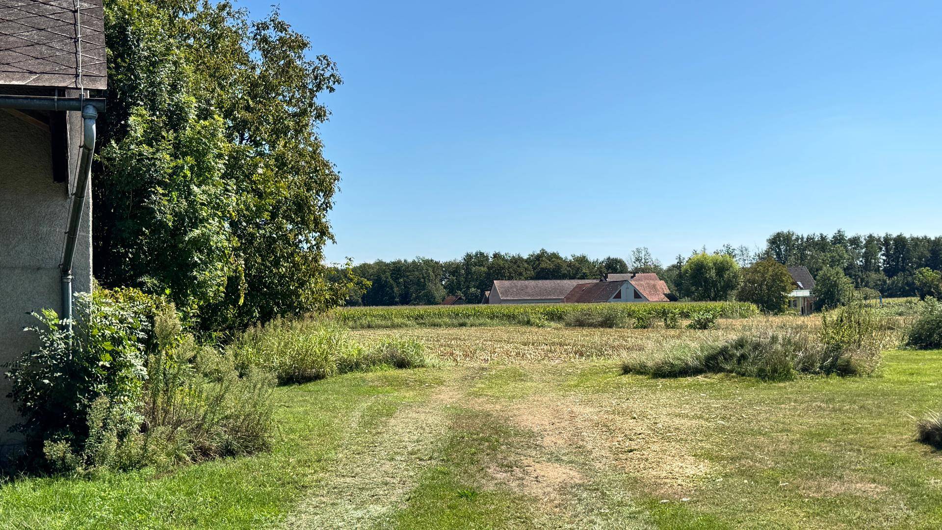 Blick von der Seite eines Gebäudes über weite Felder und Baumreihen unter klarem blauem Himmel.