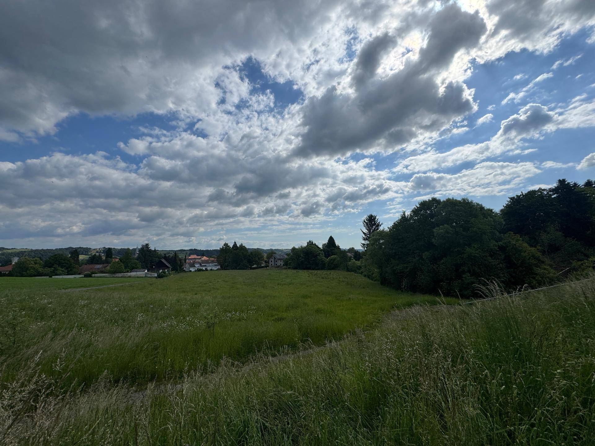 Ausgedehnte grüne Felder mit Blick auf eine Siedlung in der Ferne bei bewölktem Wetter.