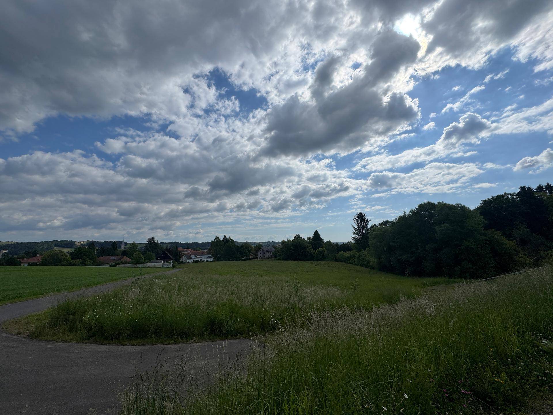 Geteilter asphaltierter Weg durch eine grüne Landschaft mit Häusern in der Ferne unter Wolken.