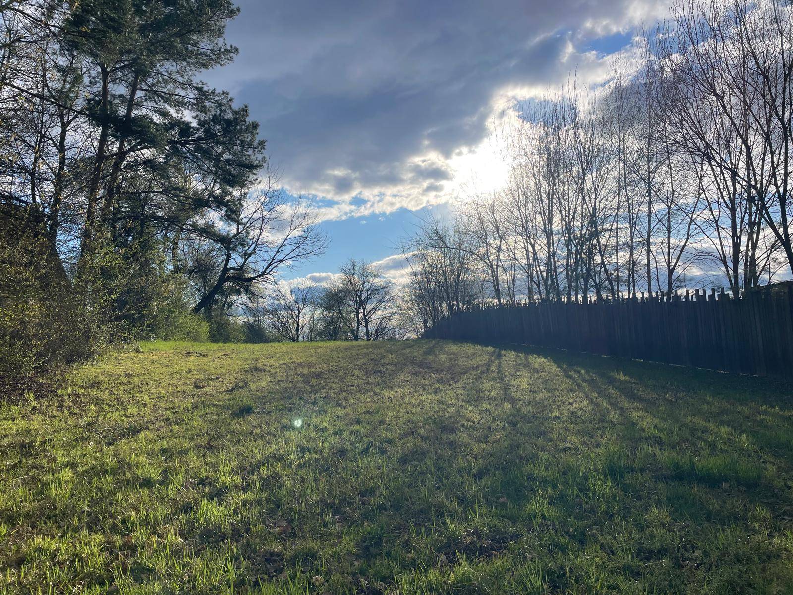 Sonnige Wiesenfläche mit Bäumen, die lange Schatten werfen, und einem Holzzaun im Hintergrund.