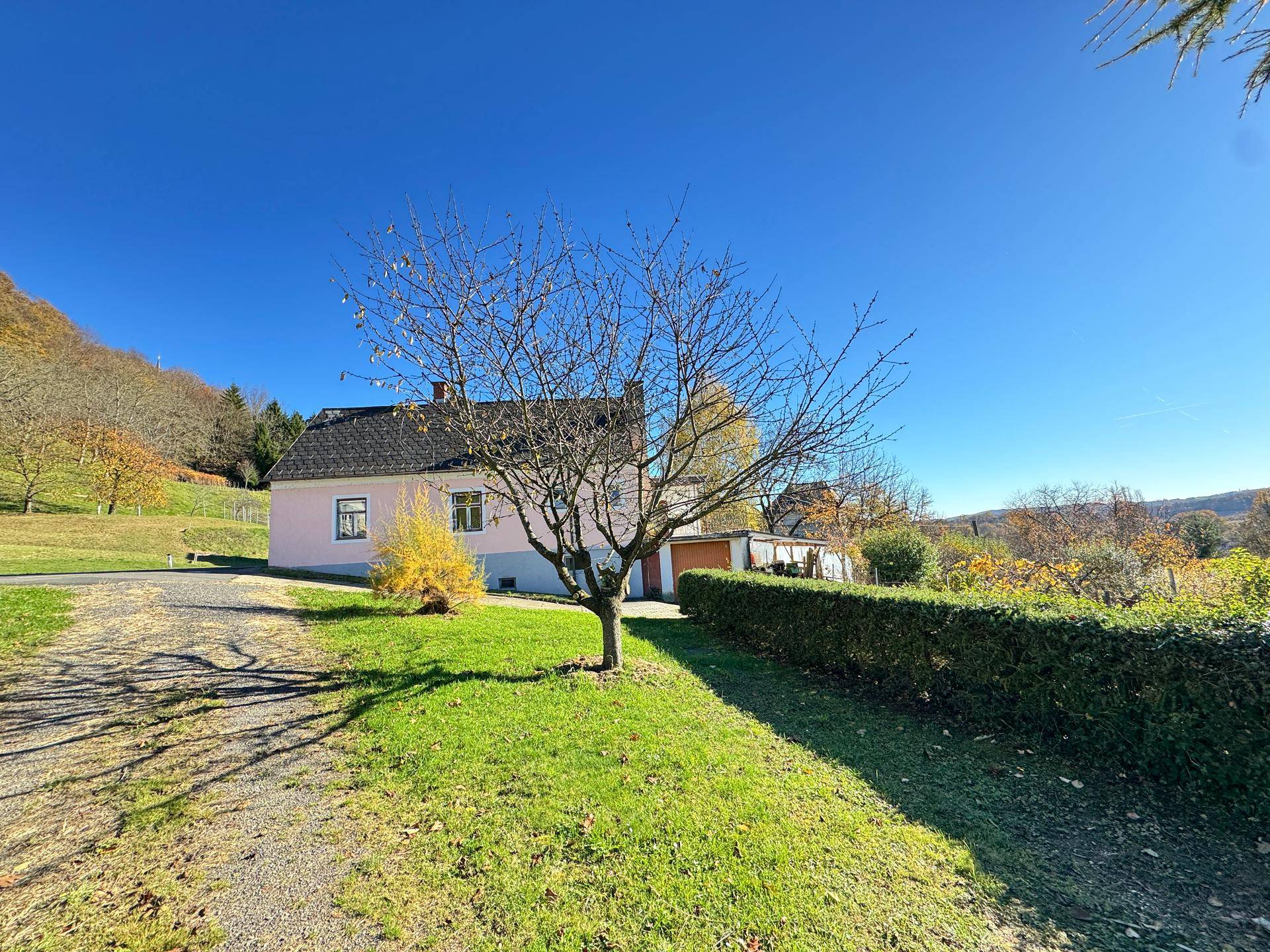 Einfamilienhaus mit Gastronomie- und Gewerbeflächen – vielseitiges Anwesen in Kapfenstein - Ansicht 3