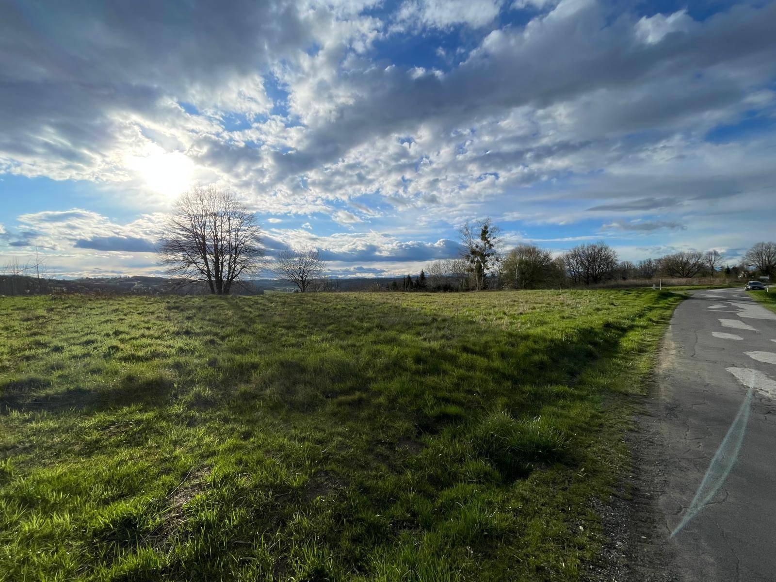 Weite grüne Wiese neben einer Landstraße mit einem einzelnen Baum unter hellem Himmel.