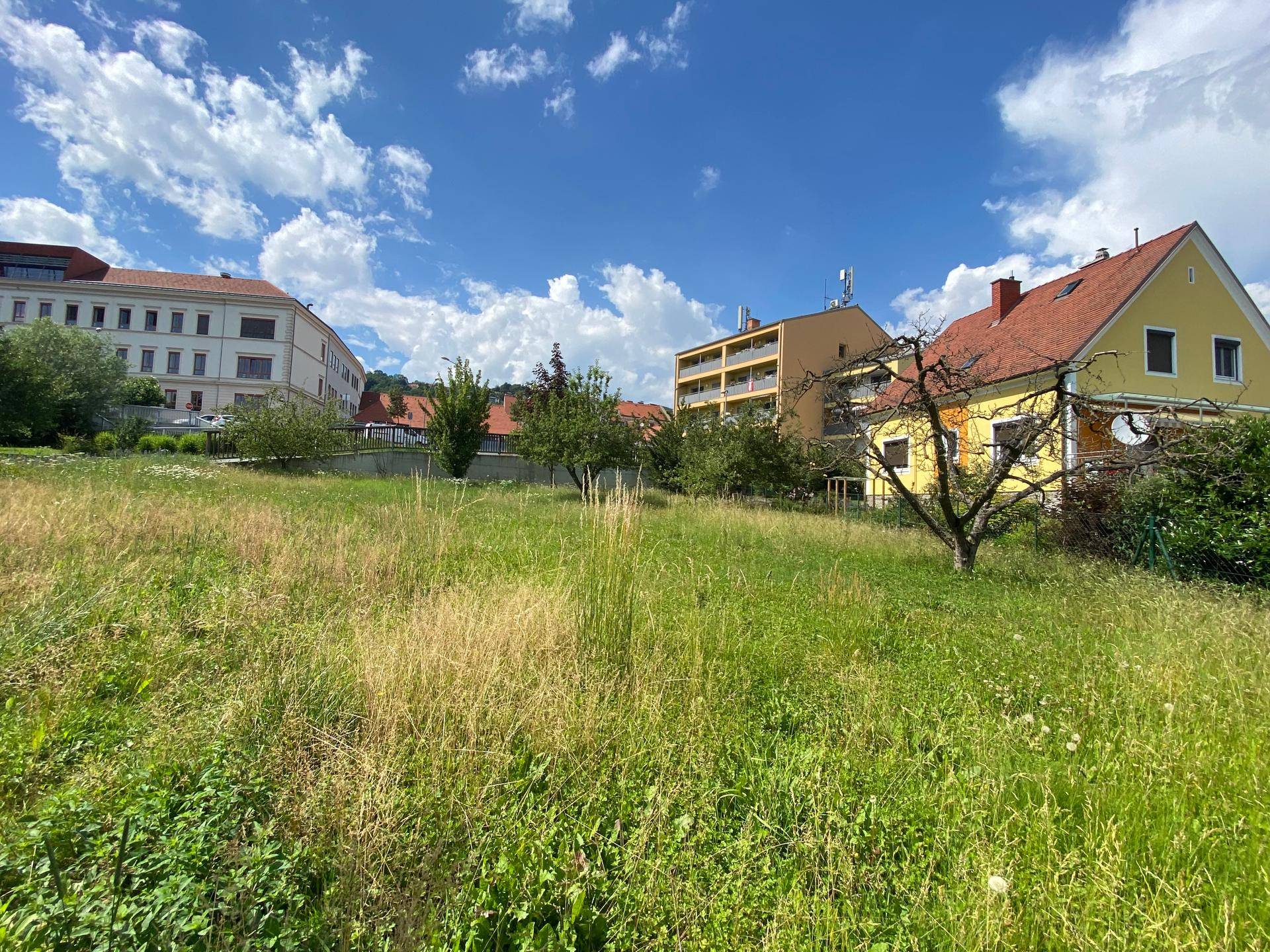 Grüne Wiese mit Blick auf Wohngebäude unter einem strahlend blauen Himmel.
