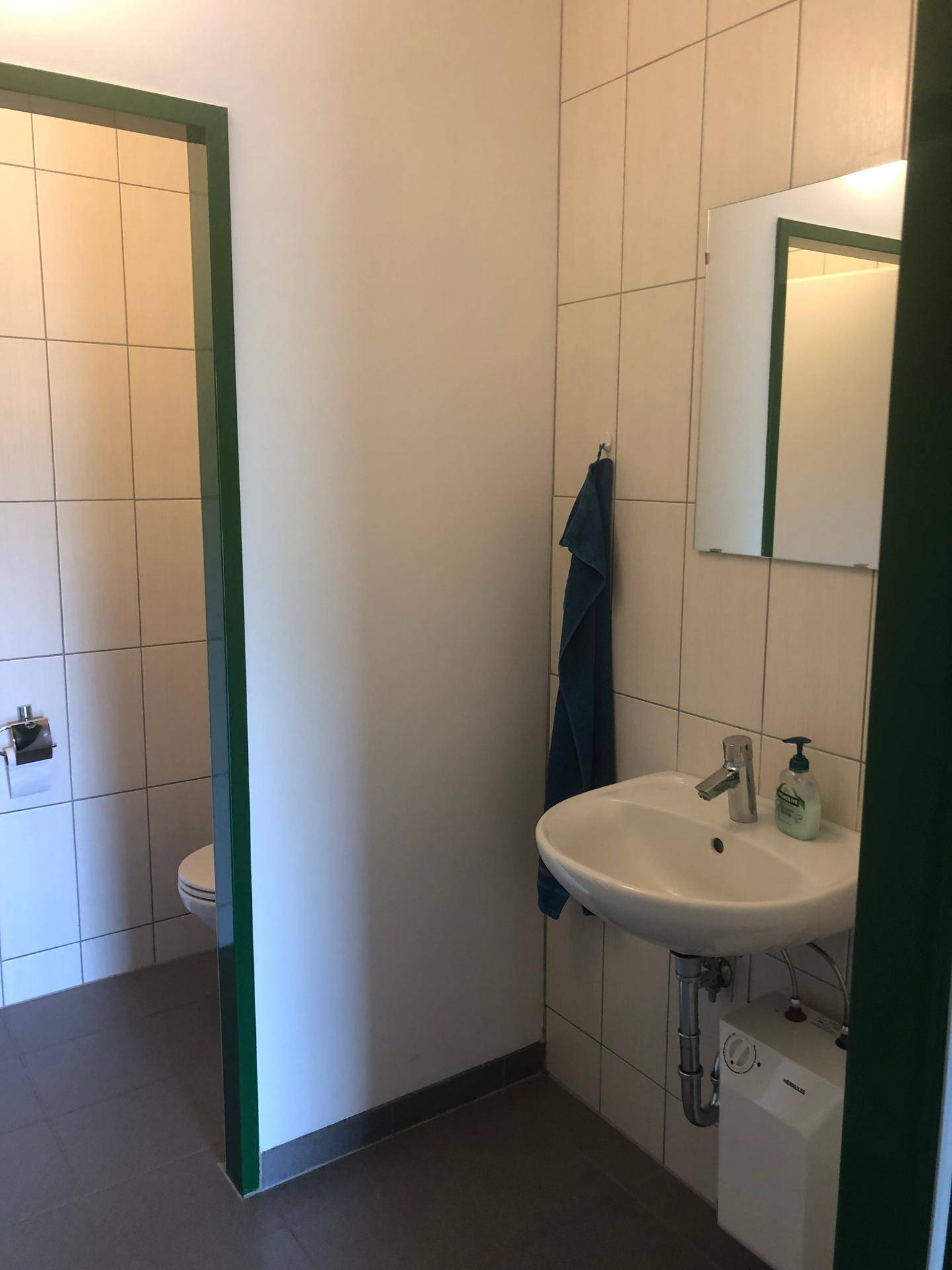 Modernes Gäste-WC mit Fliesen, Waschbecken und Spiegel.