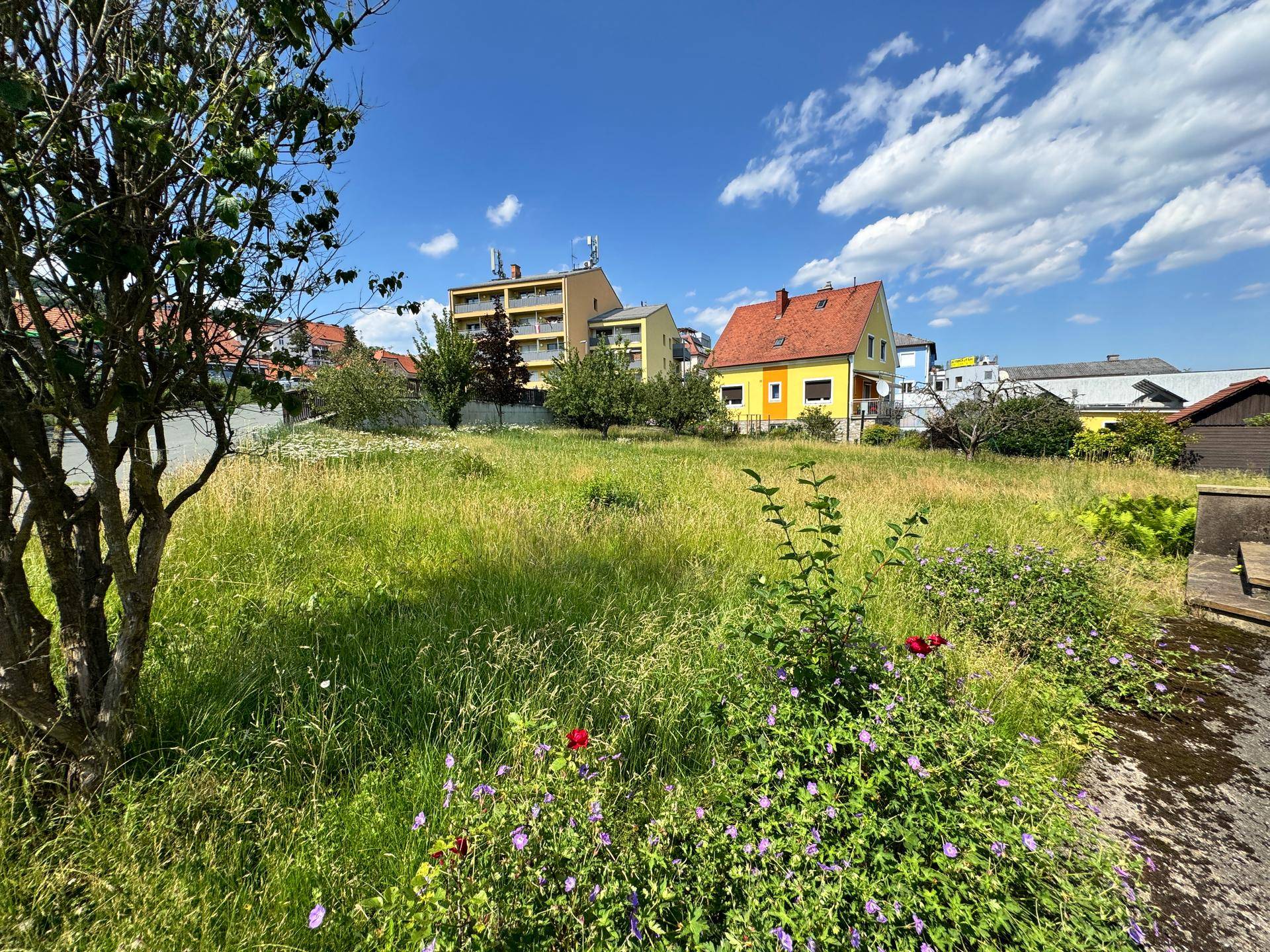 Sonniges Grundstück mit hohem Gras und Blick auf die Nachbarschaft mit verschiedenen Gebäuden.