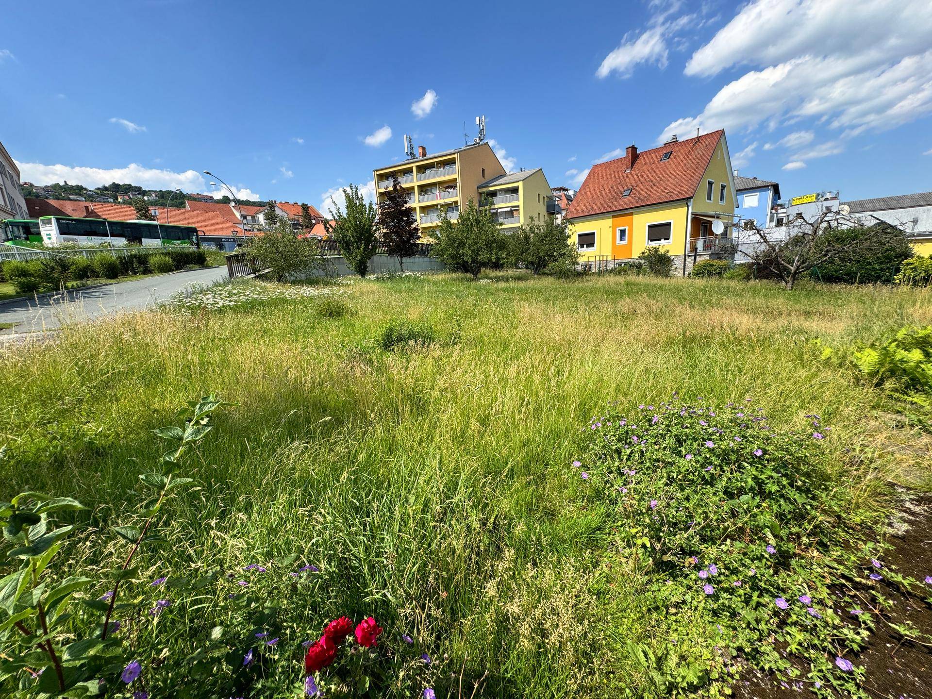 Weitläufiges Grundstück mit hohem Gras und Blick auf umliegende Wohngebäude unter blauem Himmel.