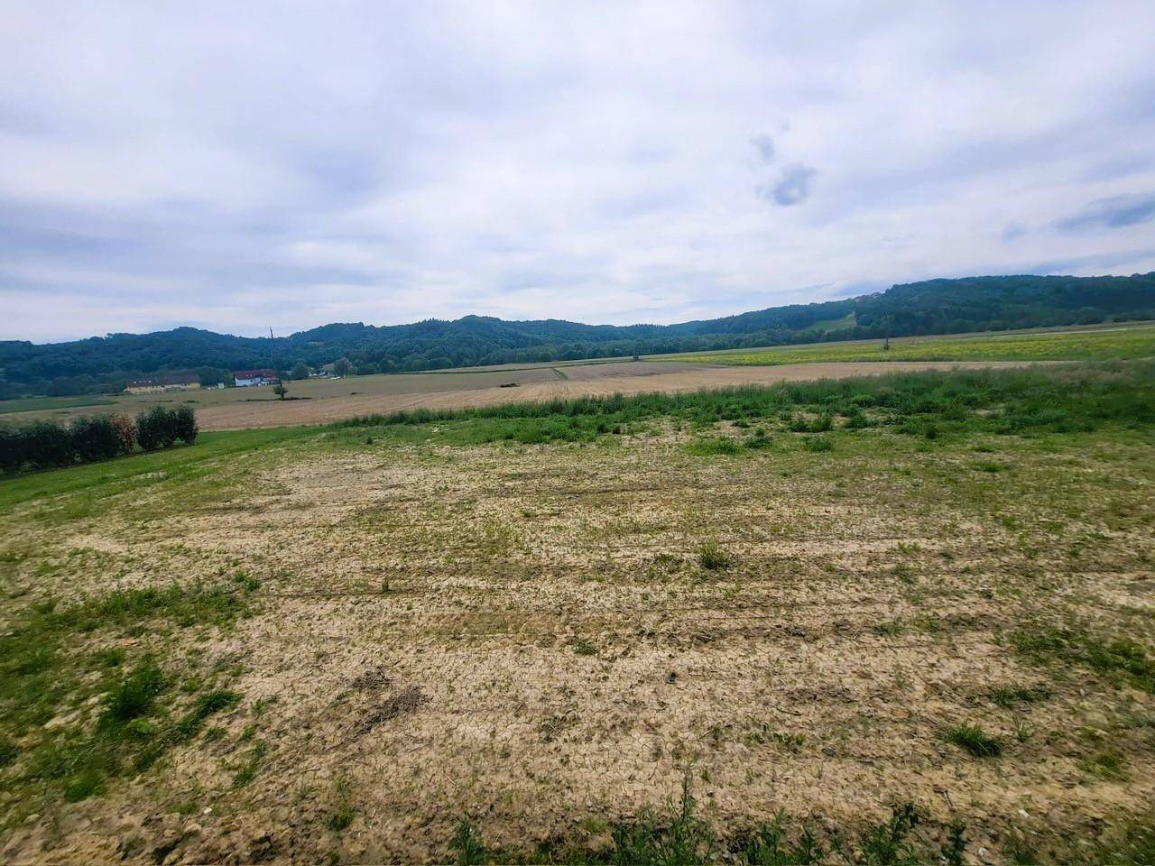 Panoramablick über Felder und bewaldete Hügel unter einem hellen Himmel.