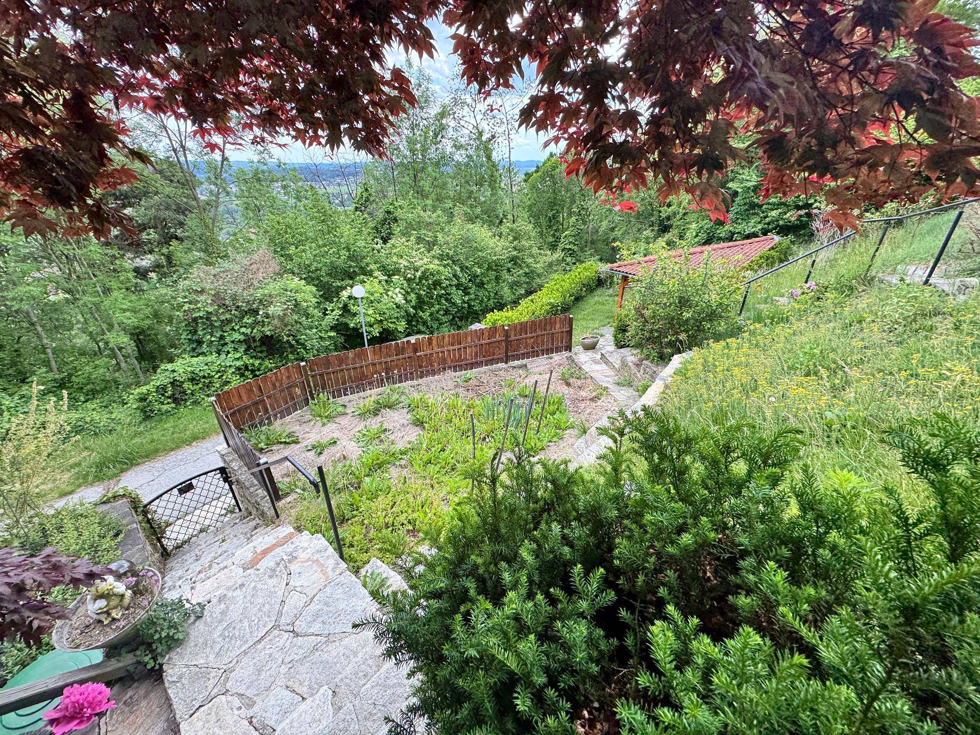 Terrassierter Gartenbereich mit Steinstufen und einem umzäunten Gemüsegarten, umgeben von Bäumen.
