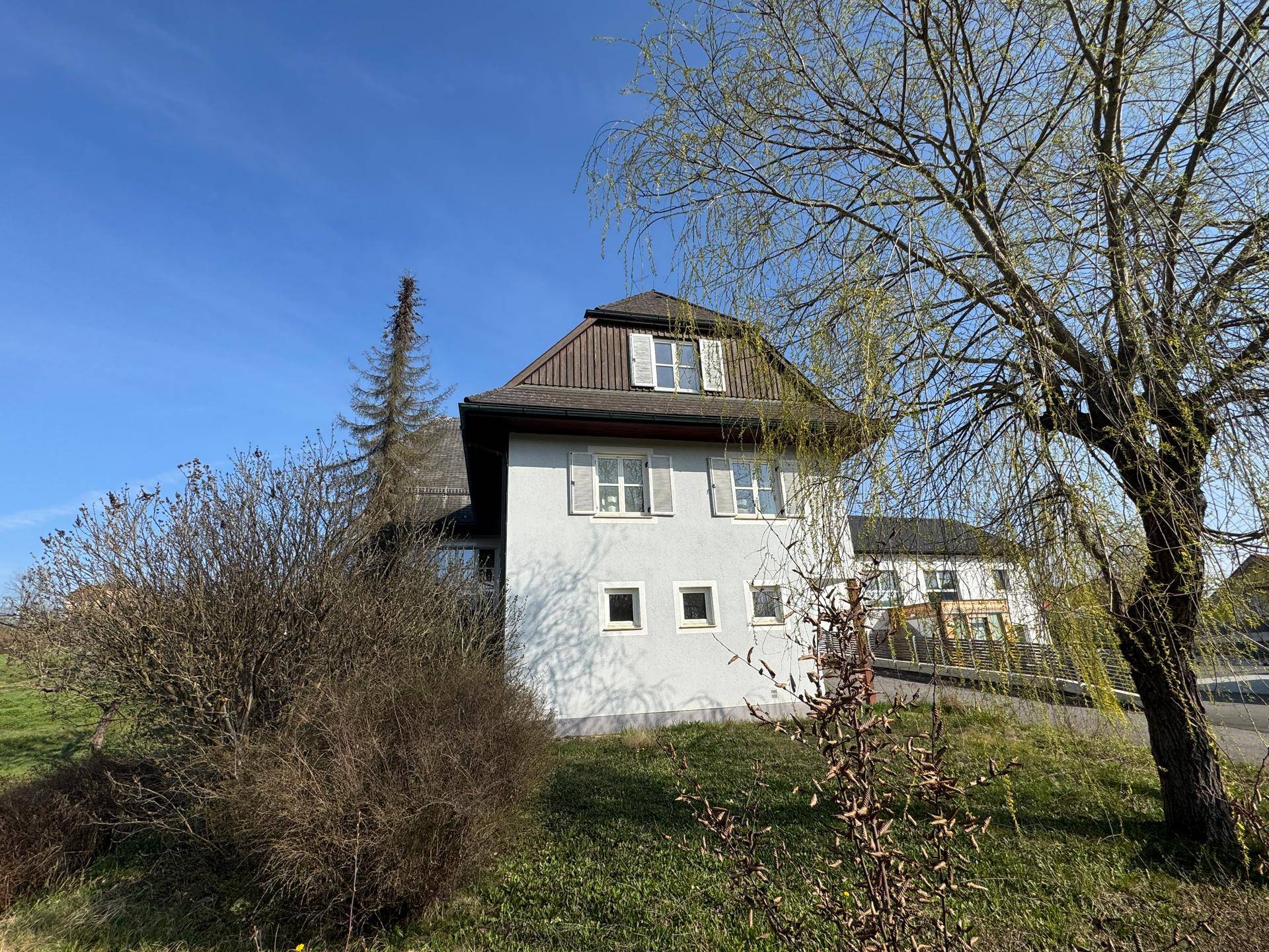 Seitenansicht des Hauses mit hellgrauer Fassade und blühenden Bäumen im Vordergrund.