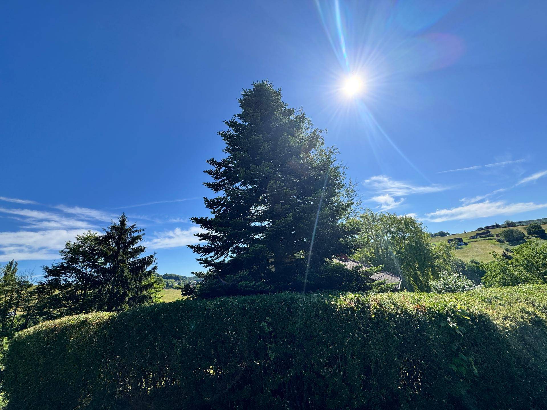 Sonniger Tag mit grünen Bäumen und Hügeln, umgeben von Natur und einem blauen Himmel.