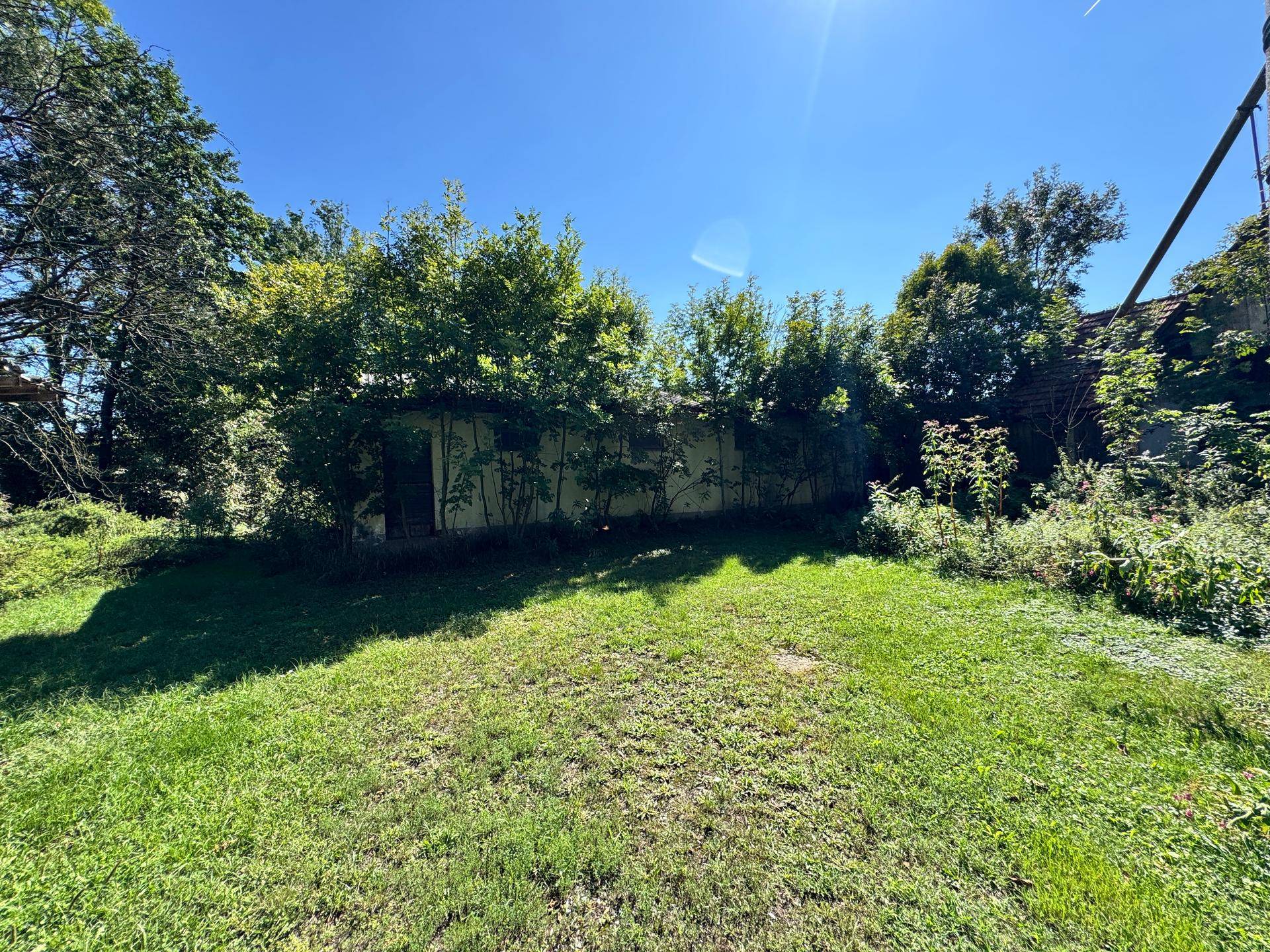 Großer, ungepflegter Gartenbereich mit hohen Büschen und Bäumen unter blauem Himmel.