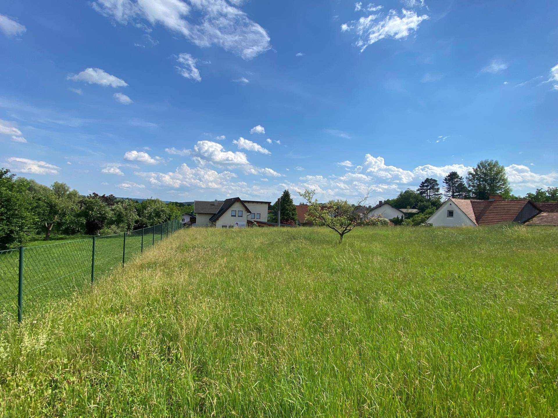 Grüne Wiese mit einem Zaun und Häusern in der Ferne unter einem klaren Himmel.