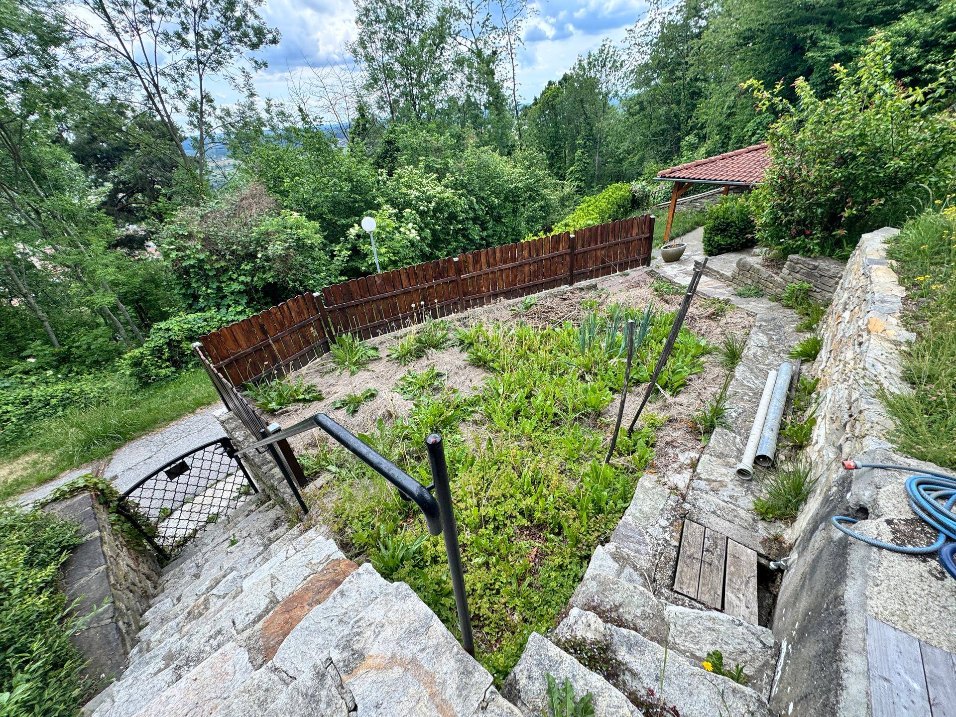 Terrassierter Gartenbereich mit Steinstufen, verschiedenen Pflanzen und einem Holzzaun im Hintergrund.