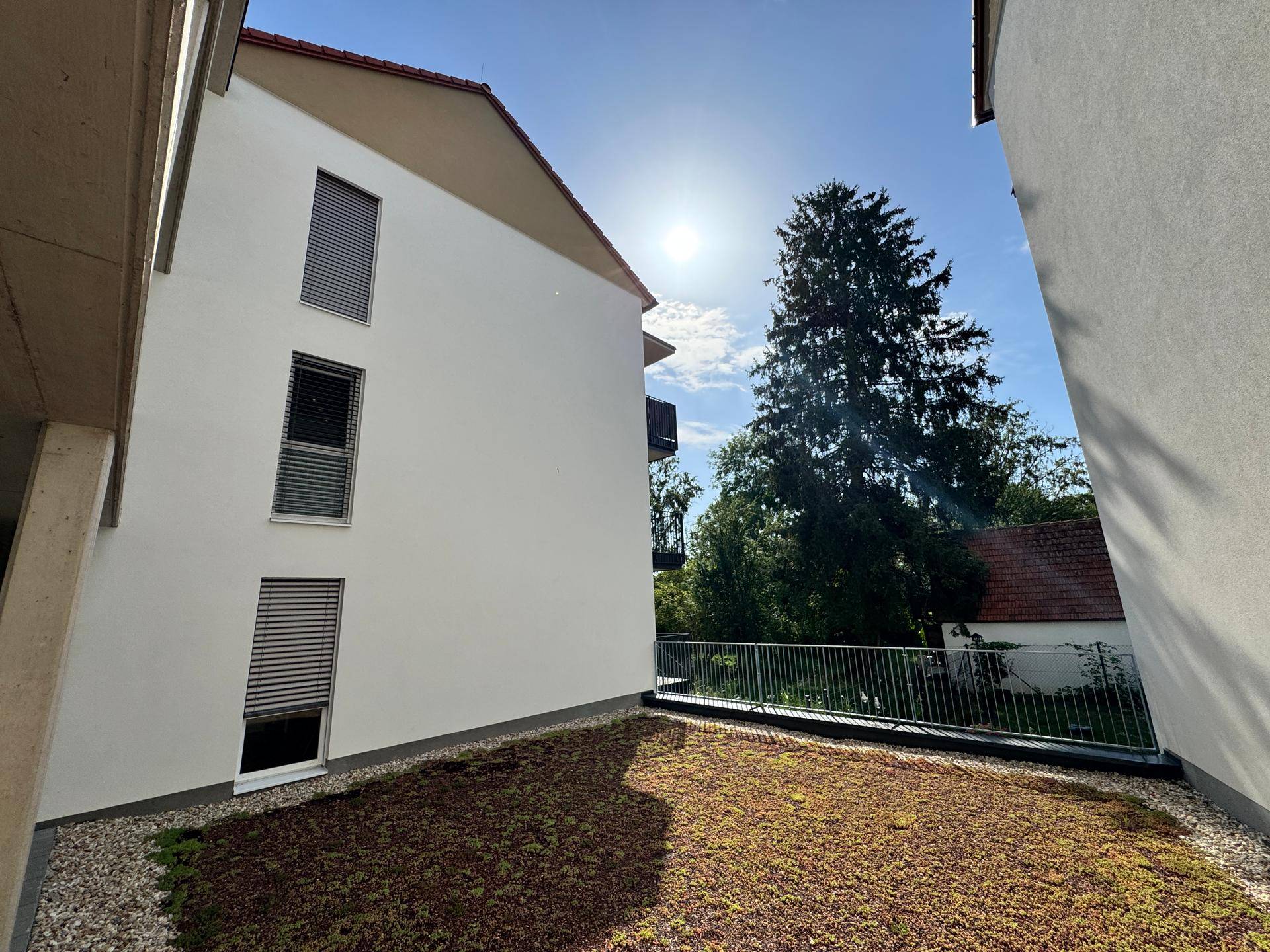 Sonnige Ansicht der Gebäudefassade mit begrüntem Dachbereich und umliegenden Bäumen.