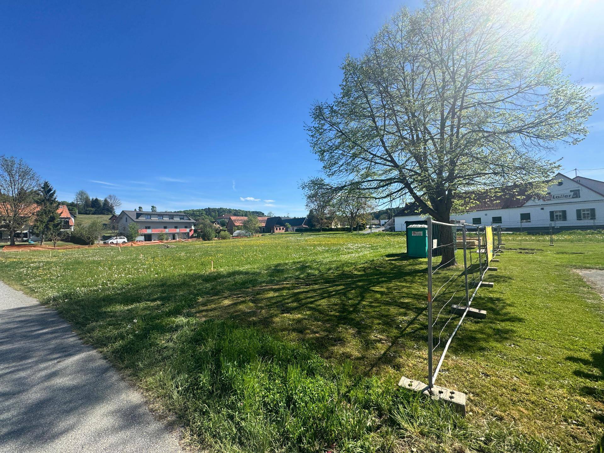 Weitläufige Grünfläche mit großem Baum und Blick auf die ländliche Umgebung an einem sonnigen Tag.