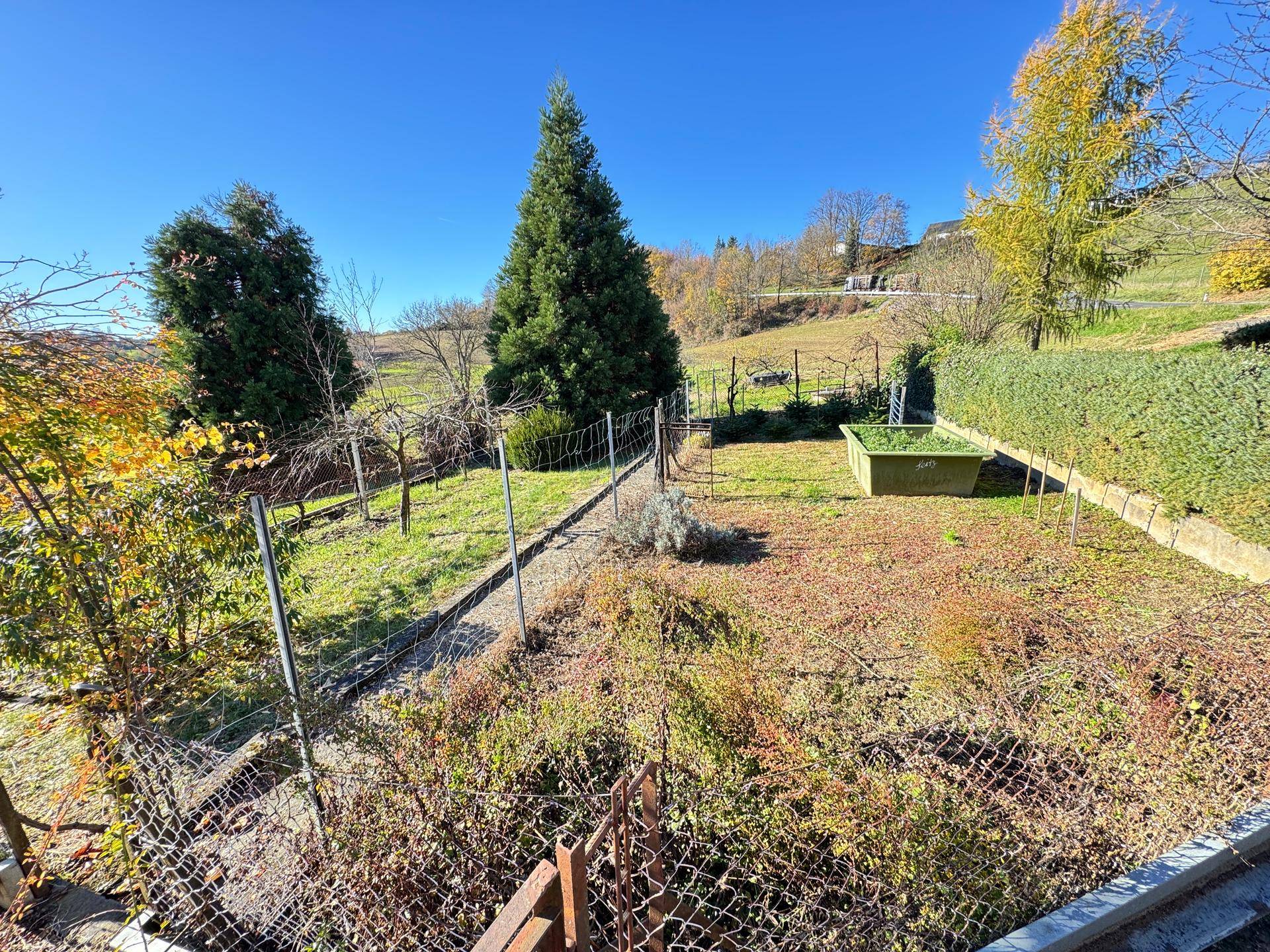 Eingezäunter Gartenbereich mit Rasen und Sträuchern, bietet Potenzial für individuelle Gestaltung.