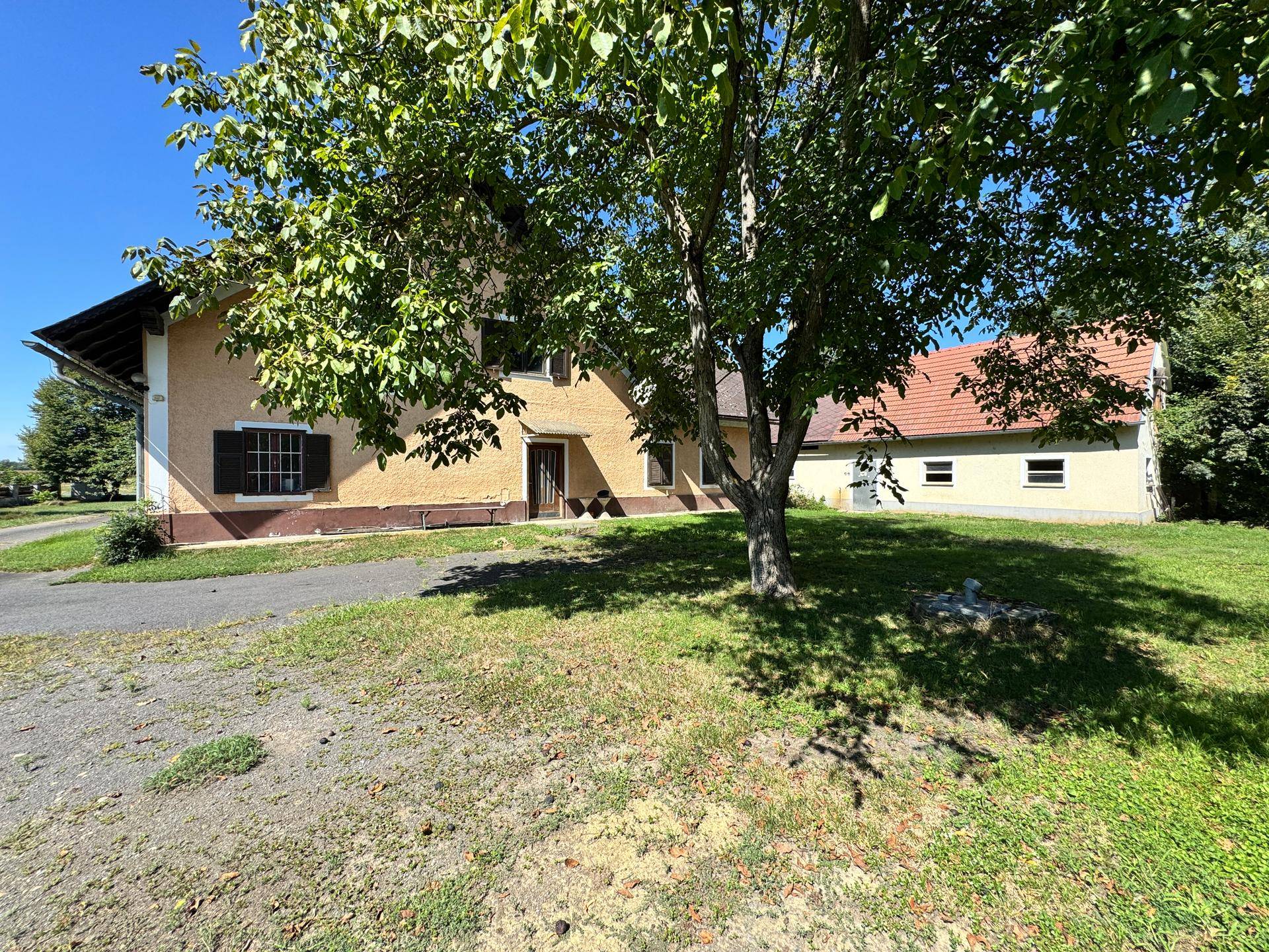 Landhaus mit gelber Fassade, umgeben von viel Grün und einem großen Baum.