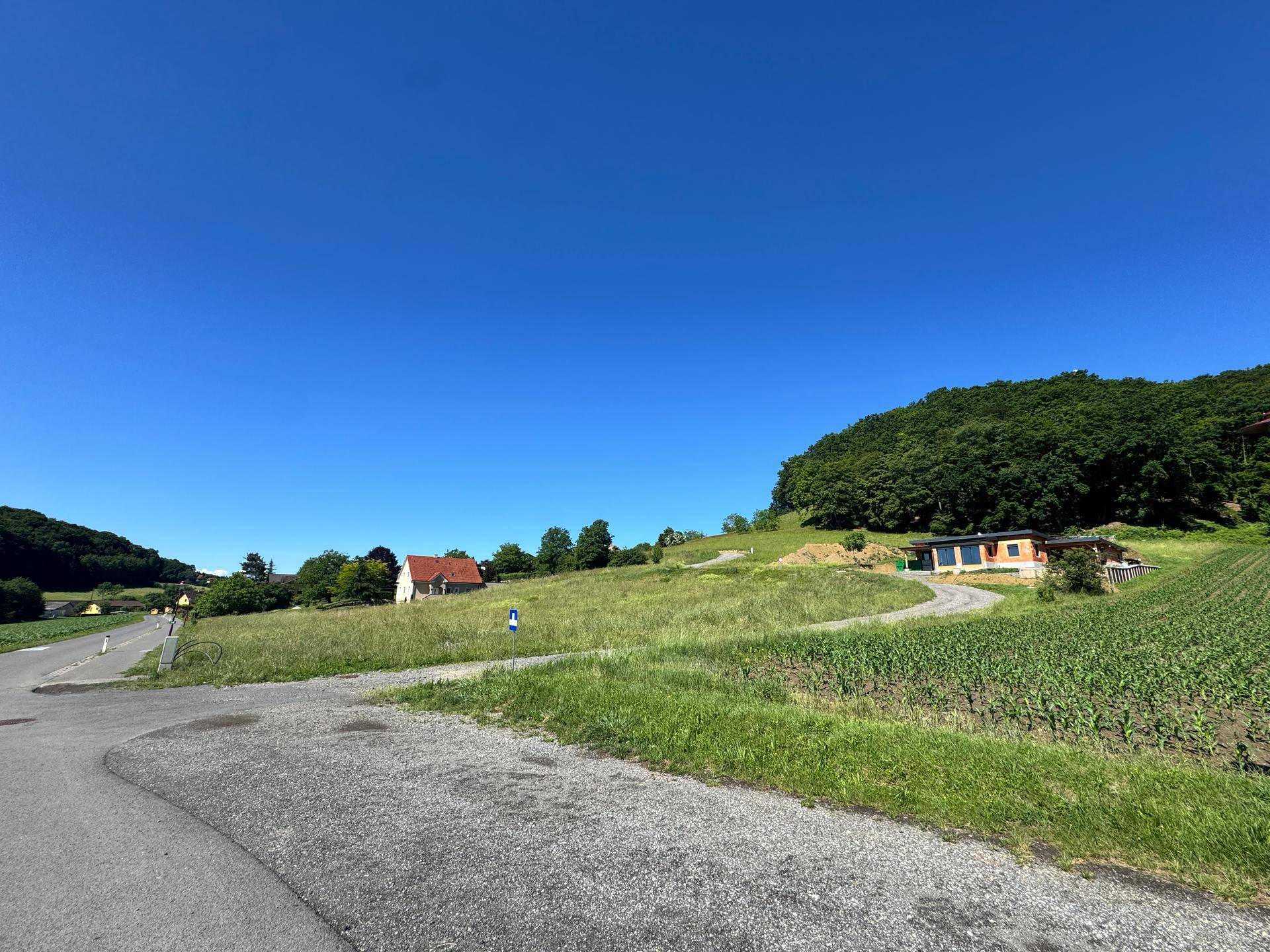 Weitläufige Landschaft mit grünen Feldern, Bäumen und einem Haus in der Ferne unter blauem Himmel.