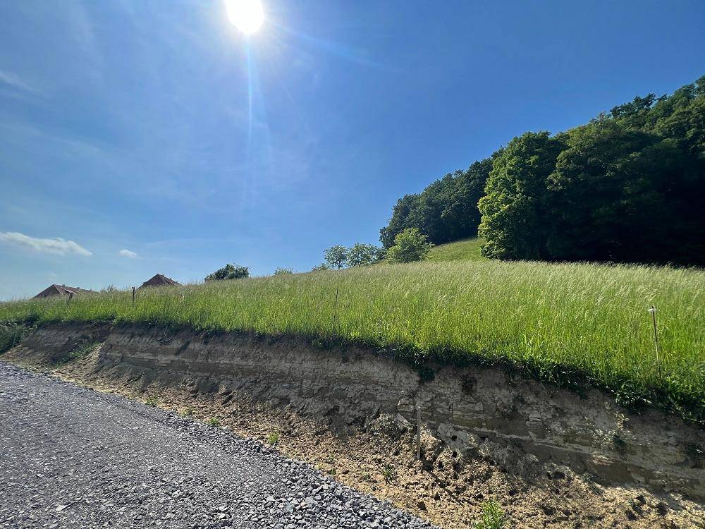 Schotterweg entlang einer Böschung mit freigelegter Erdschicht und sonniger Wiesenlandschaft.