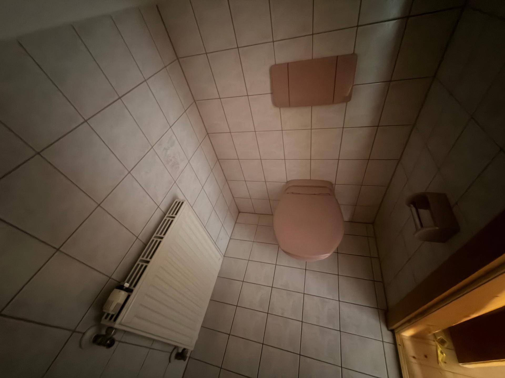 Separate Toilette mit rosa WC, Fliesen und Heizkörper.