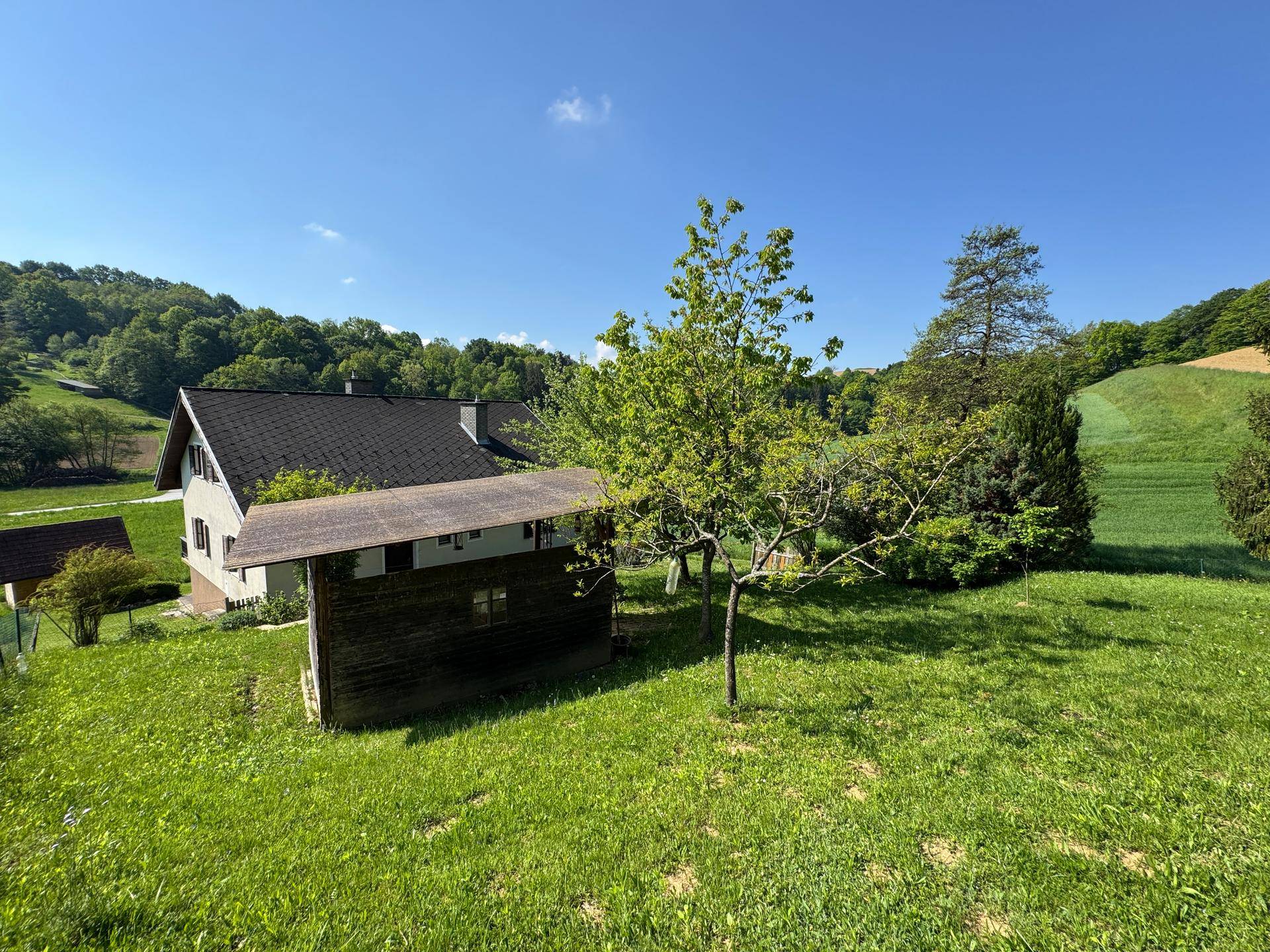 Hinterhofbereich mit einem kleinen Holzschuppen und einem jungen Baum, umgeben von grüner Wiese.
