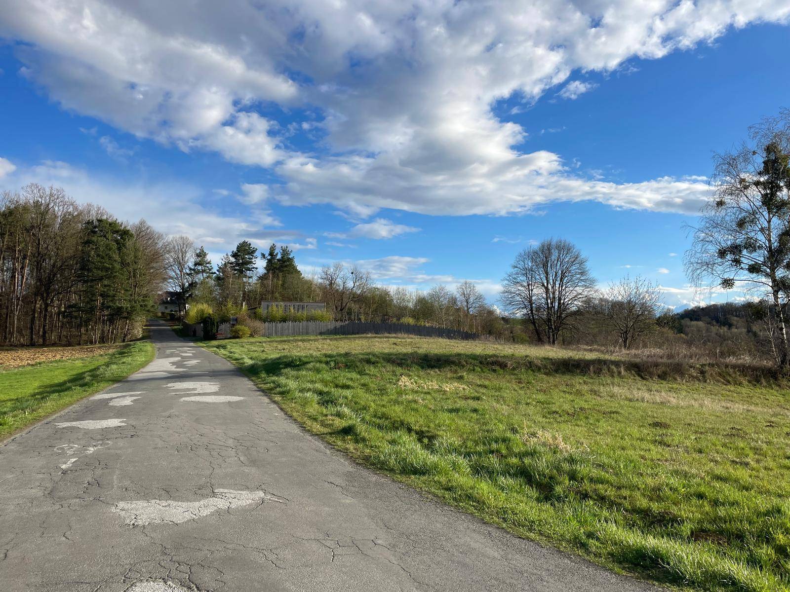 Landstraße schlängelt sich durch grüne Landschaft mit Bäumen und Fernblick auf Hügel.