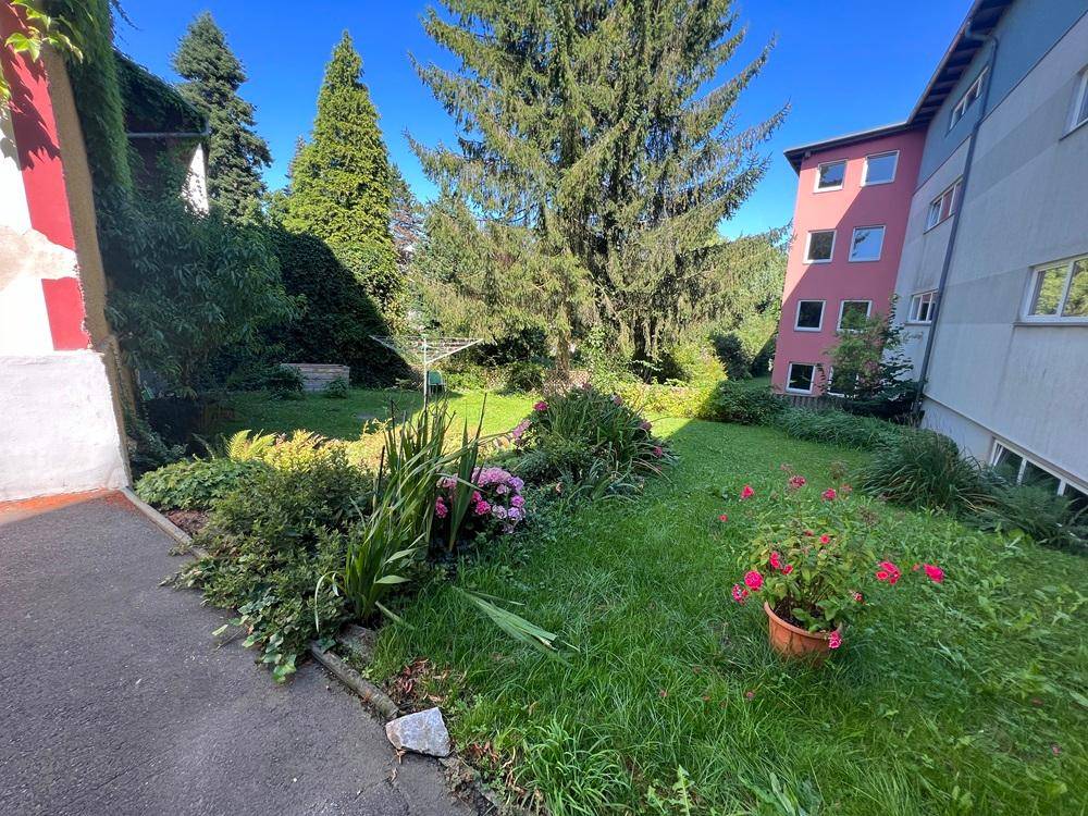 Großer Gartenbereich mit Rasen, Bäumen und blühenden Pflanzen, angrenzend an ein Gebäude.