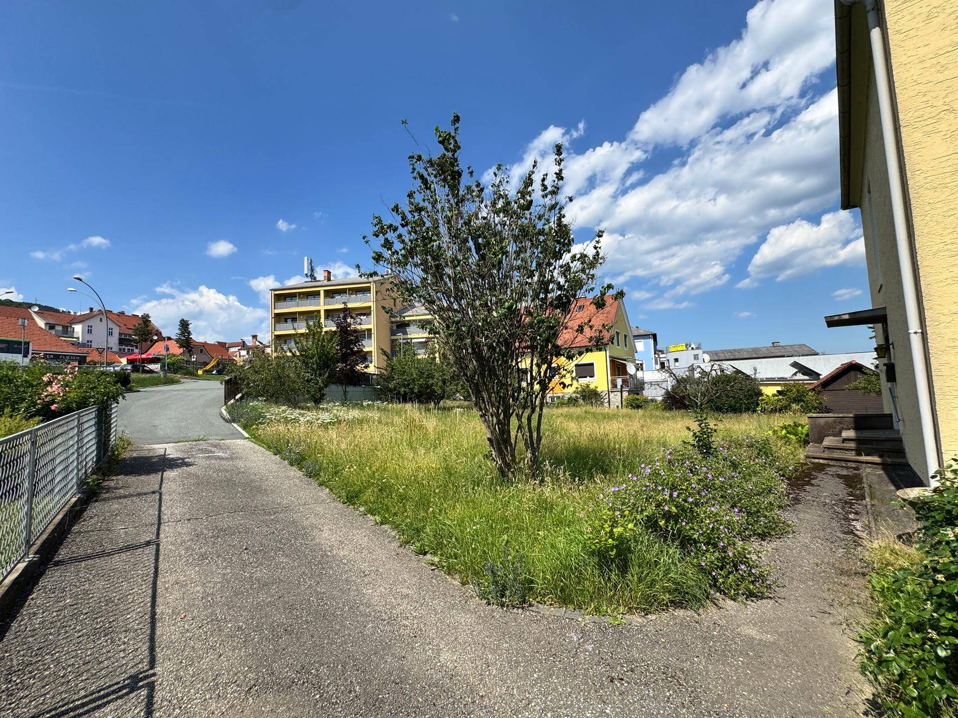 Sonniges Grundstück mit hohem Gras und einem Baum, umgeben von einer Zufahrt und Wohnhäusern.
