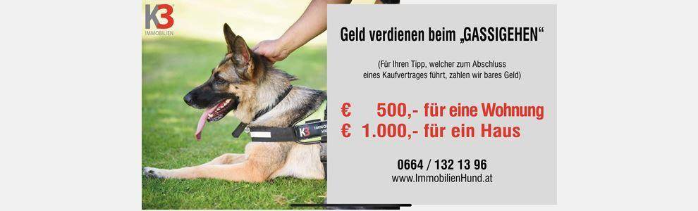 Immobilienhund