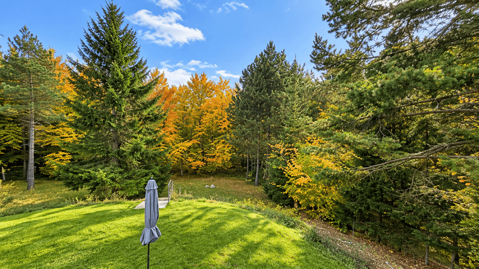 Großer, gepflegter Gartenbereich mit Rasenfläche und umgebenden Bäumen in Herbstfarben.