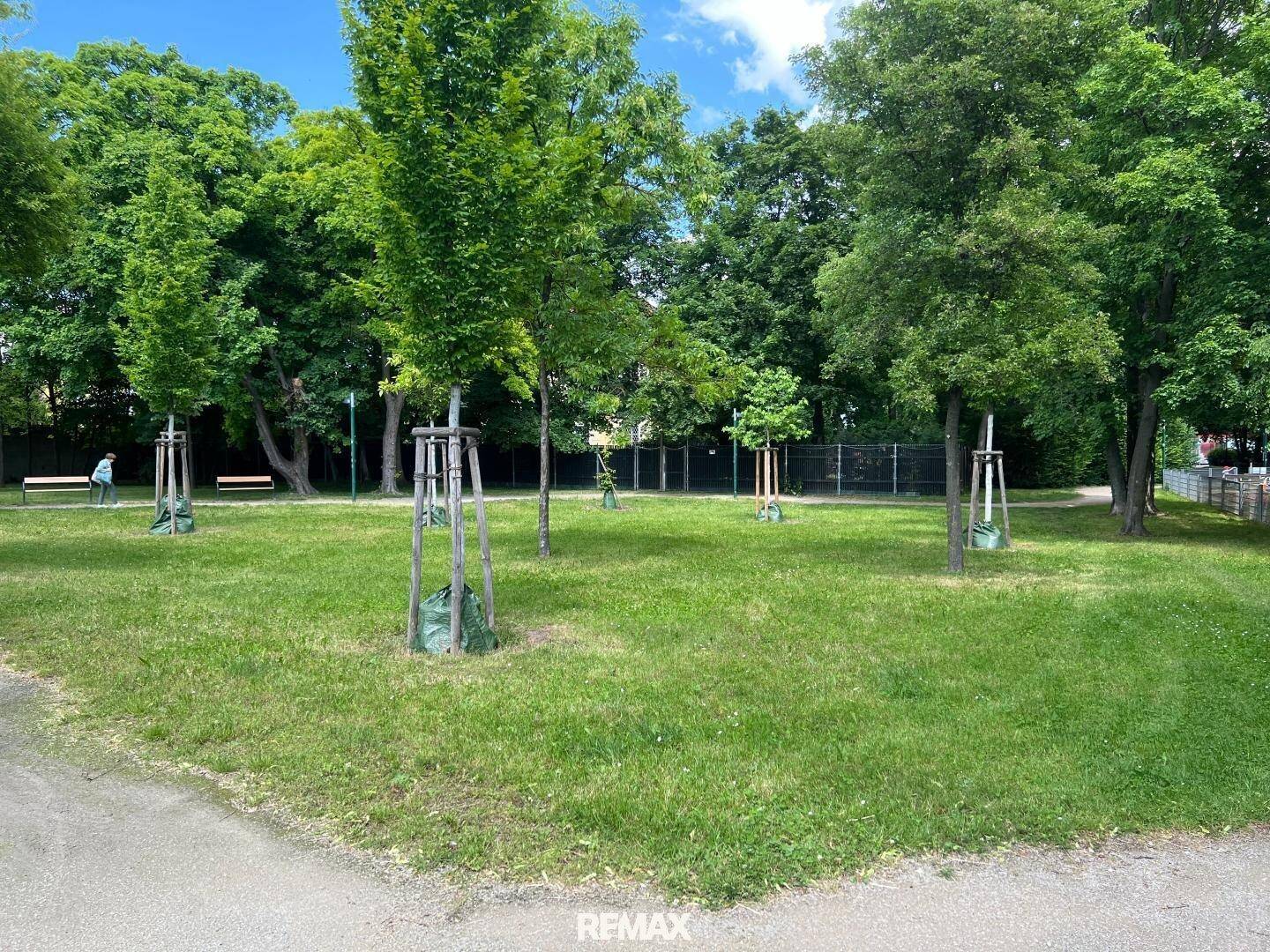 Weitläufige Grünfläche mit jungen Bäumen und Spazierwegen, ideal für Erholung im Freien.