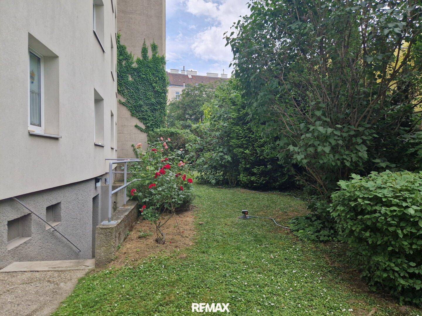 Kleiner Gartenbereich neben dem Gebäude mit Rasen, Büschen und einem Rosenstrauch.