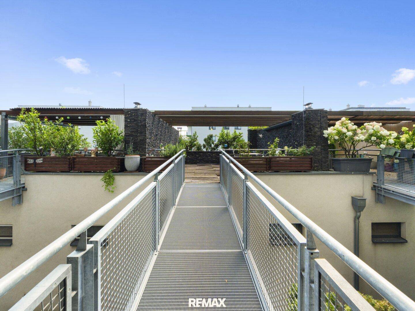 Metallsteg führt zu einer begrünten Dachterrasse mit Pflanzen und Sitzgelegenheiten im Freien.