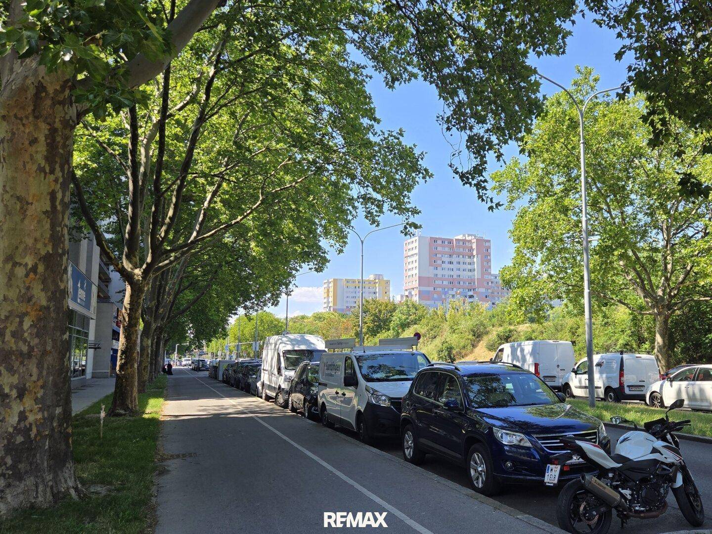 Baumgesäumte Straße mit parkenden Autos und Wohngebäuden im Hintergrund an einem sonnigen Tag.