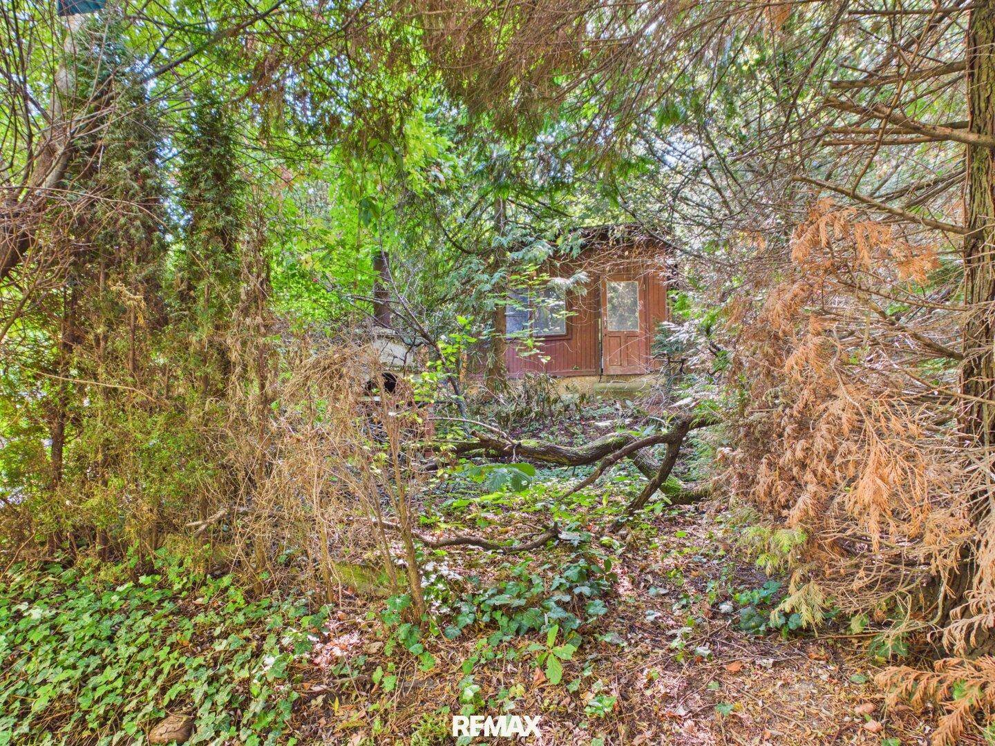 Kleiner Holzschuppen versteckt in einem dicht bewachsenen, verwilderten Gartenbereich.