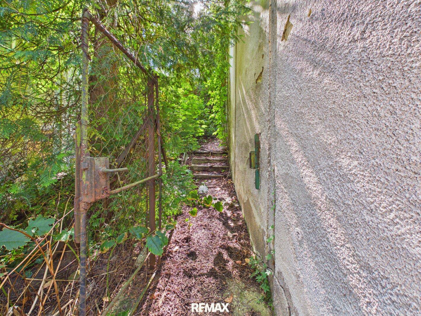 Verwilderter Pfad neben der Hauswand, umgeben von dichtem Grün und einem rostigen Zaun.