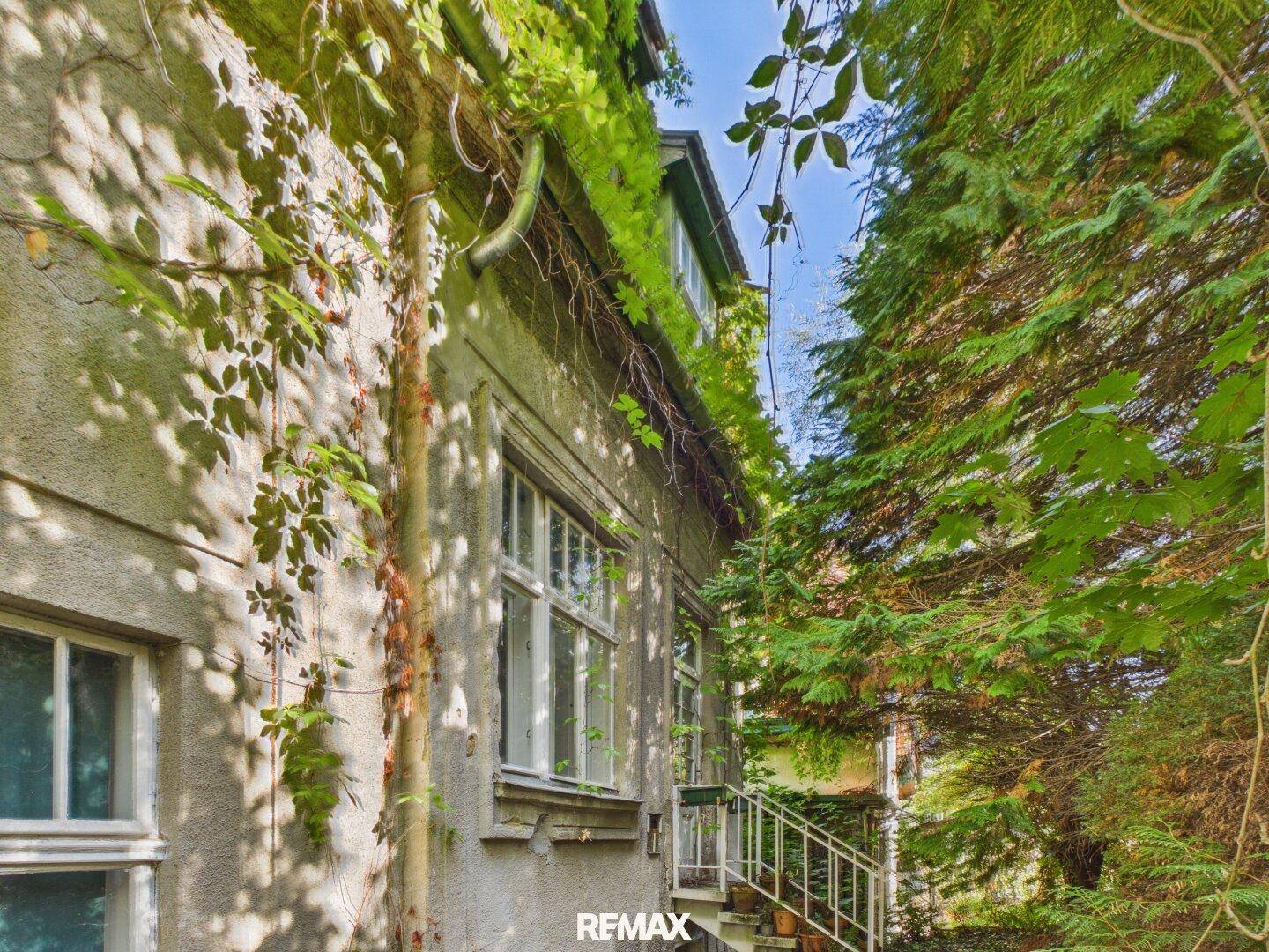 Fassade des alten Gebäudes, bedeckt mit Kletterpflanzen, umgeben von hohen Bäumen.